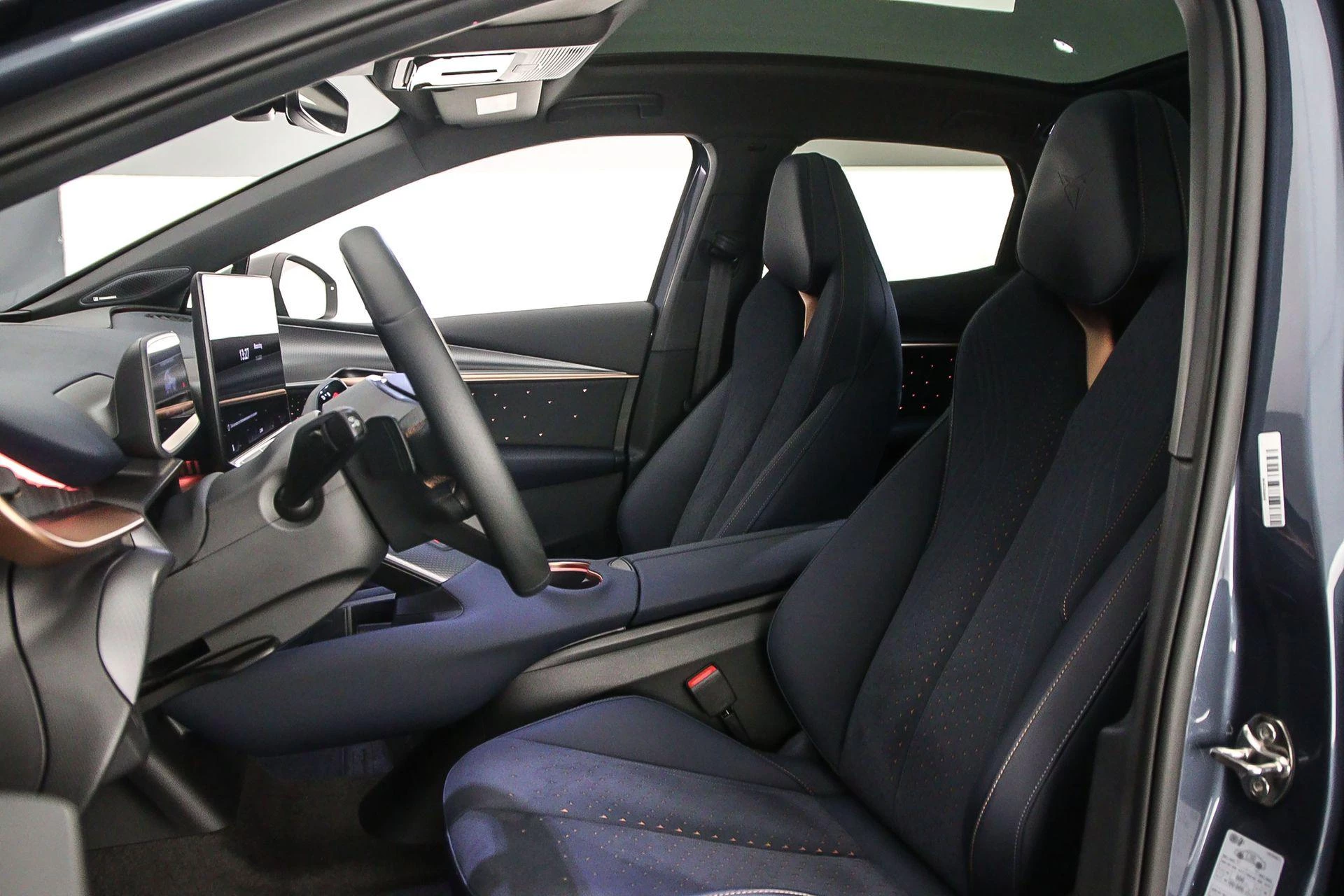 Hoofdafbeelding CUPRA Tavascan