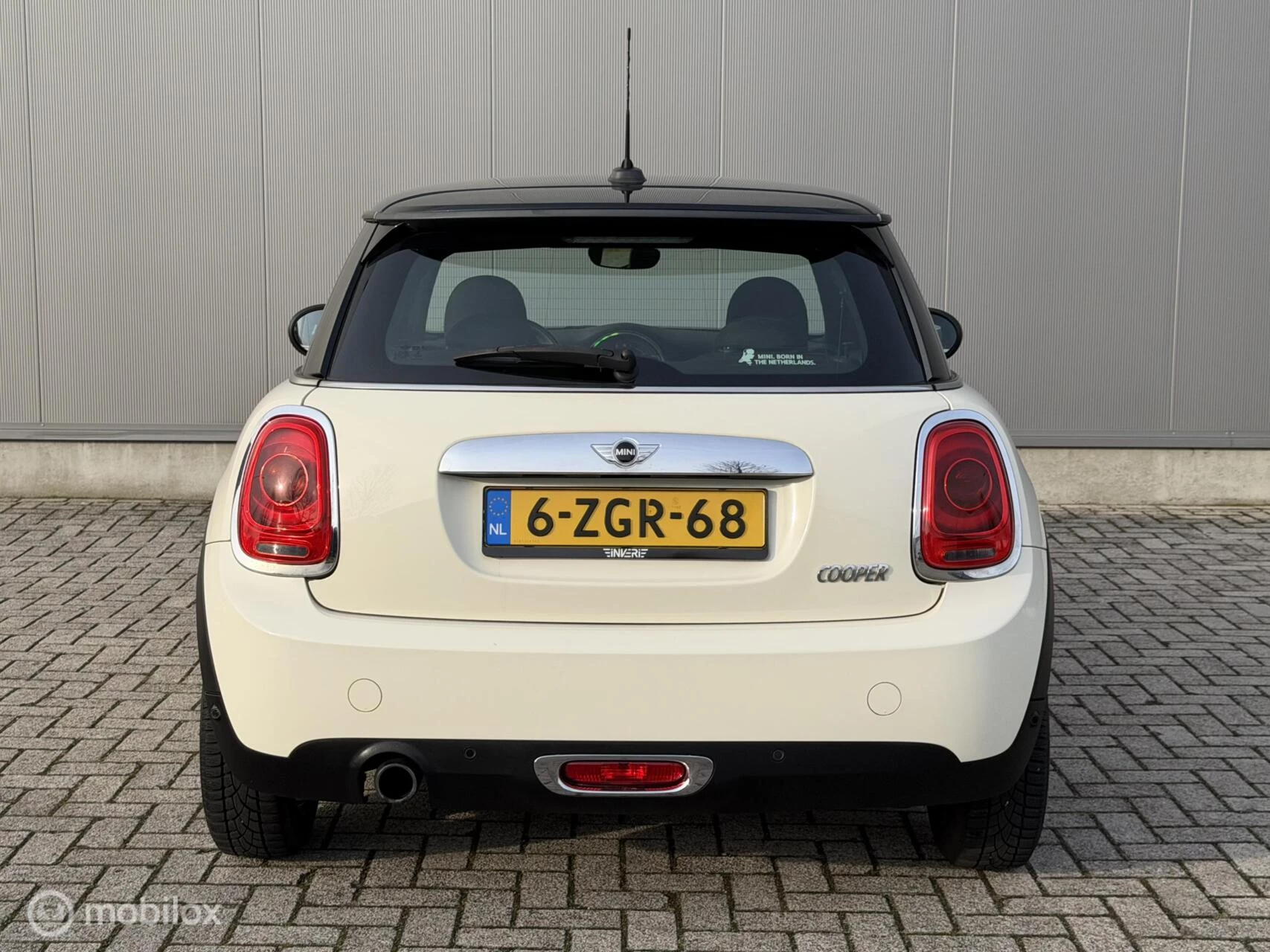 Hoofdafbeelding MINI Cooper