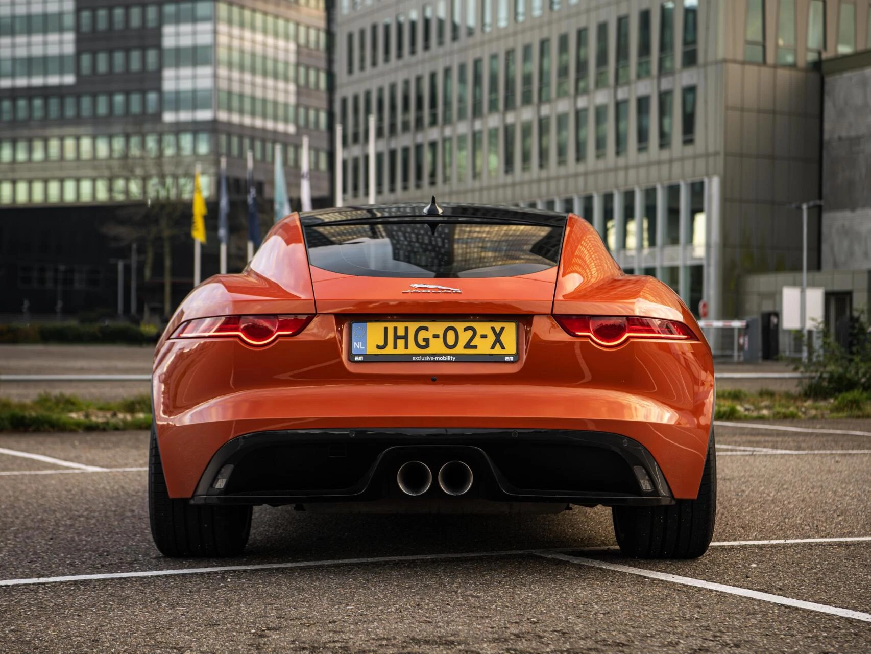 Hoofdafbeelding Jaguar F-Type