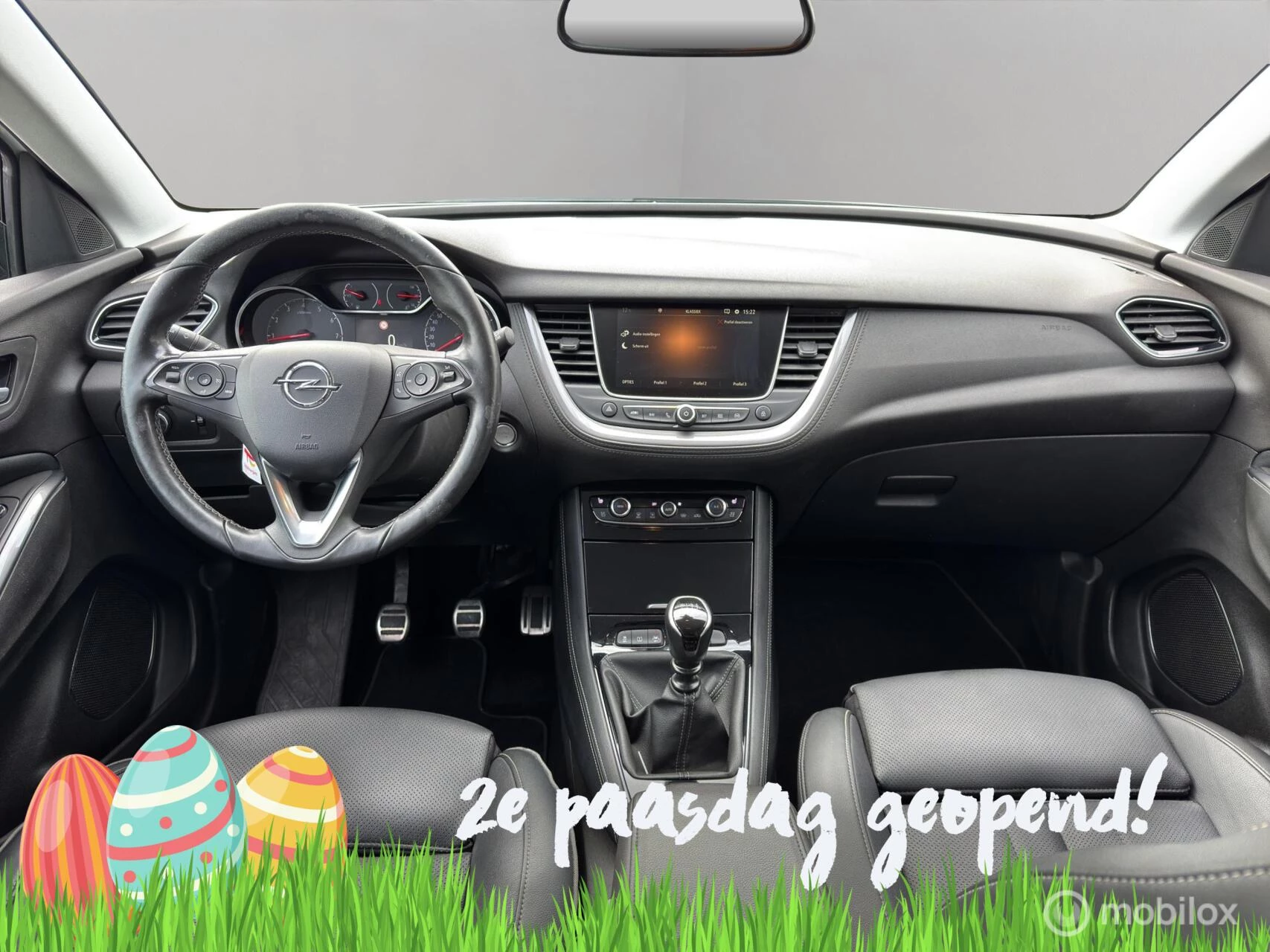 Hoofdafbeelding Opel Grandland X
