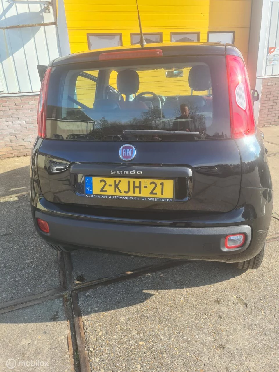 Hoofdafbeelding Fiat Panda