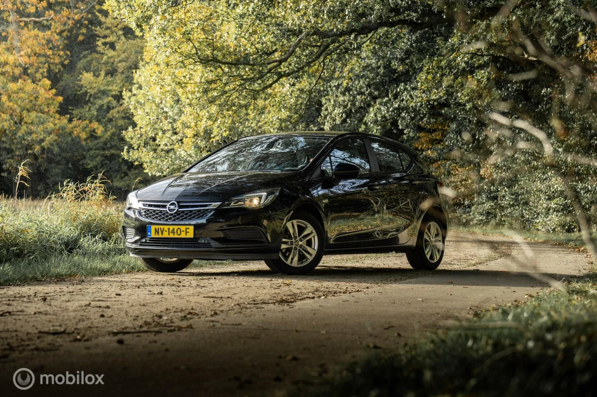 Hoofdafbeelding Opel Astra