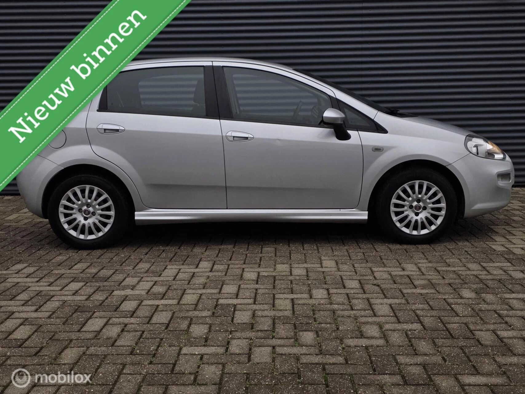 Hoofdafbeelding Fiat Punto