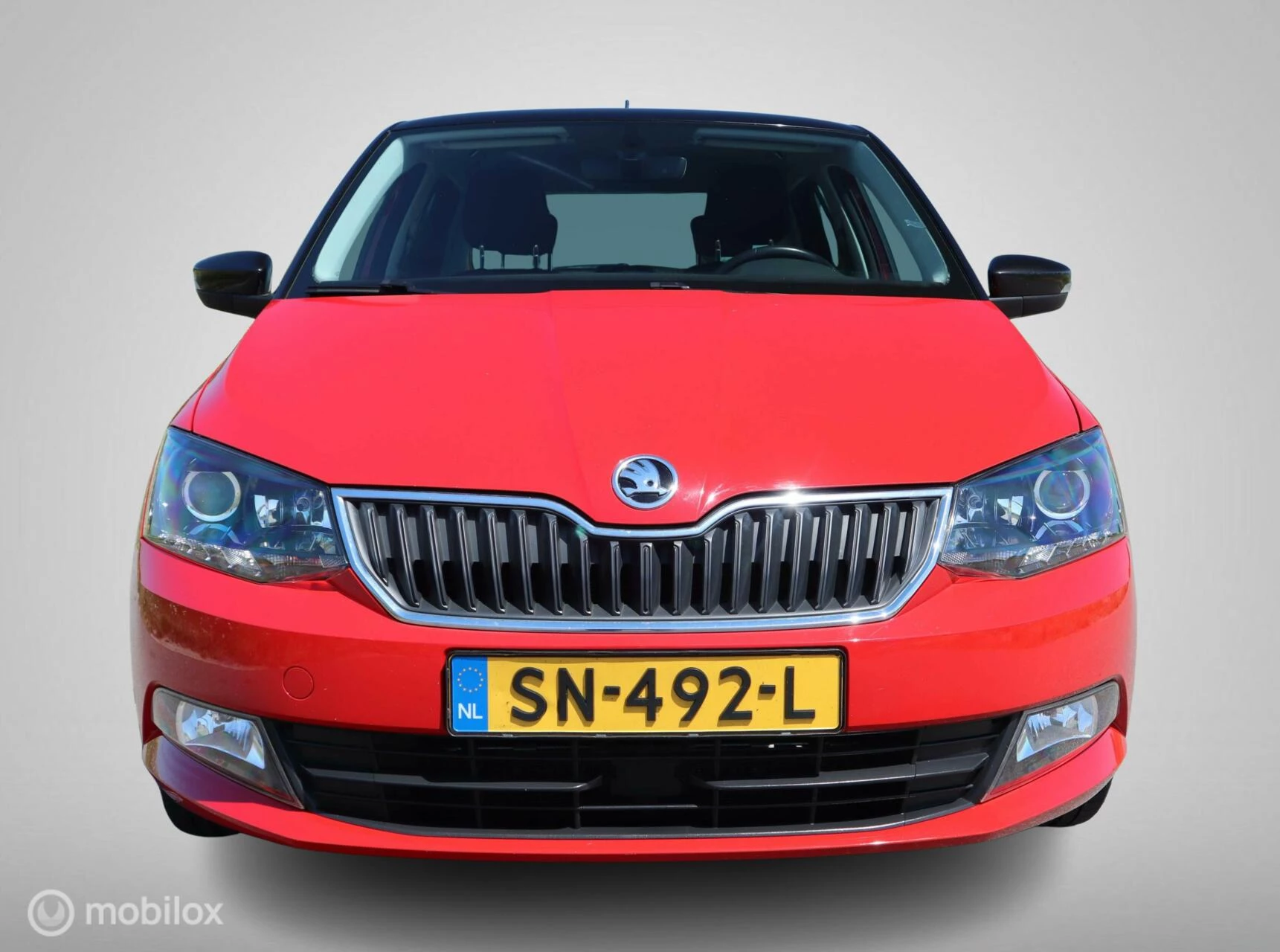 Hoofdafbeelding Škoda Fabia