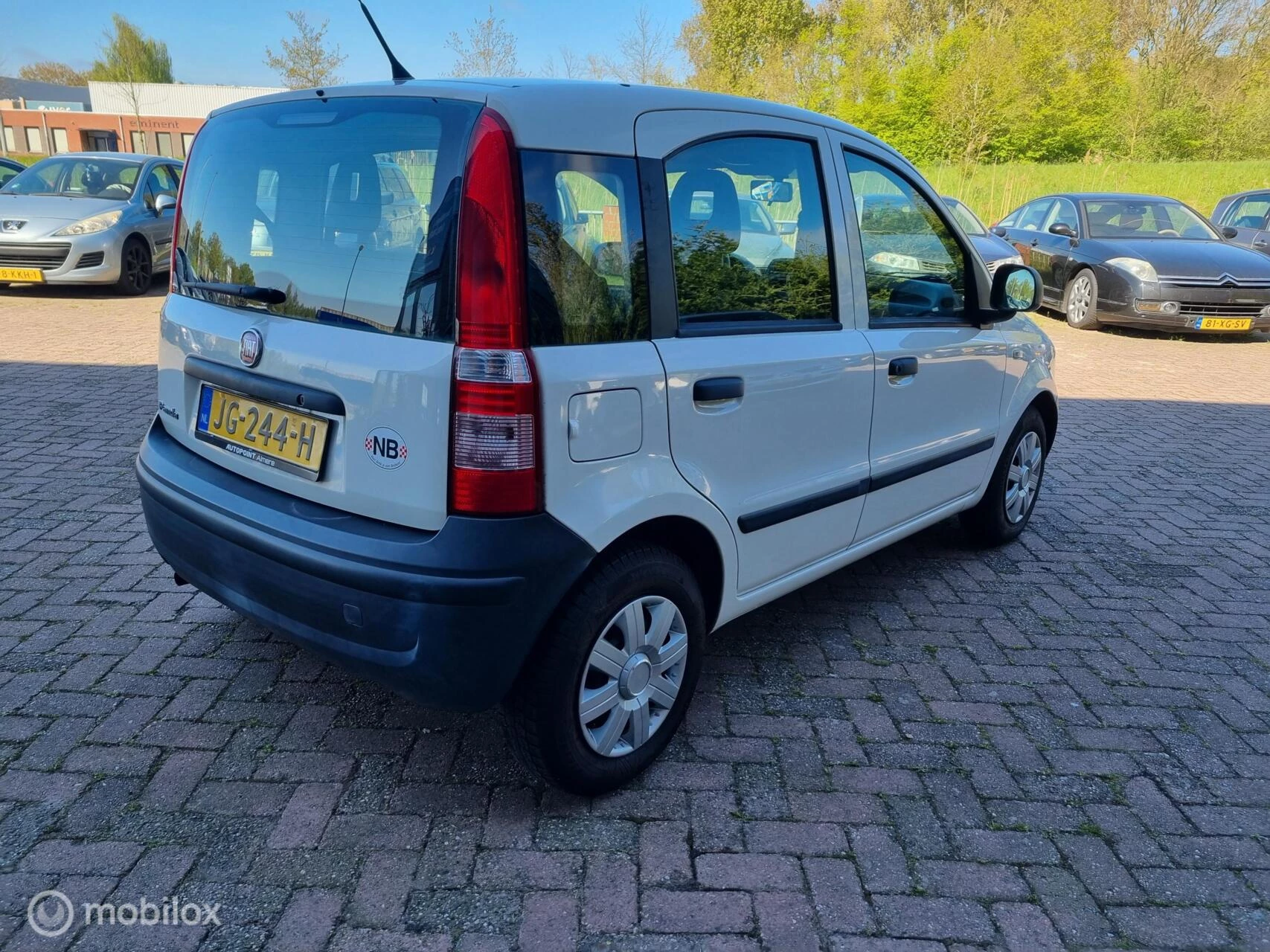Hoofdafbeelding Fiat Panda