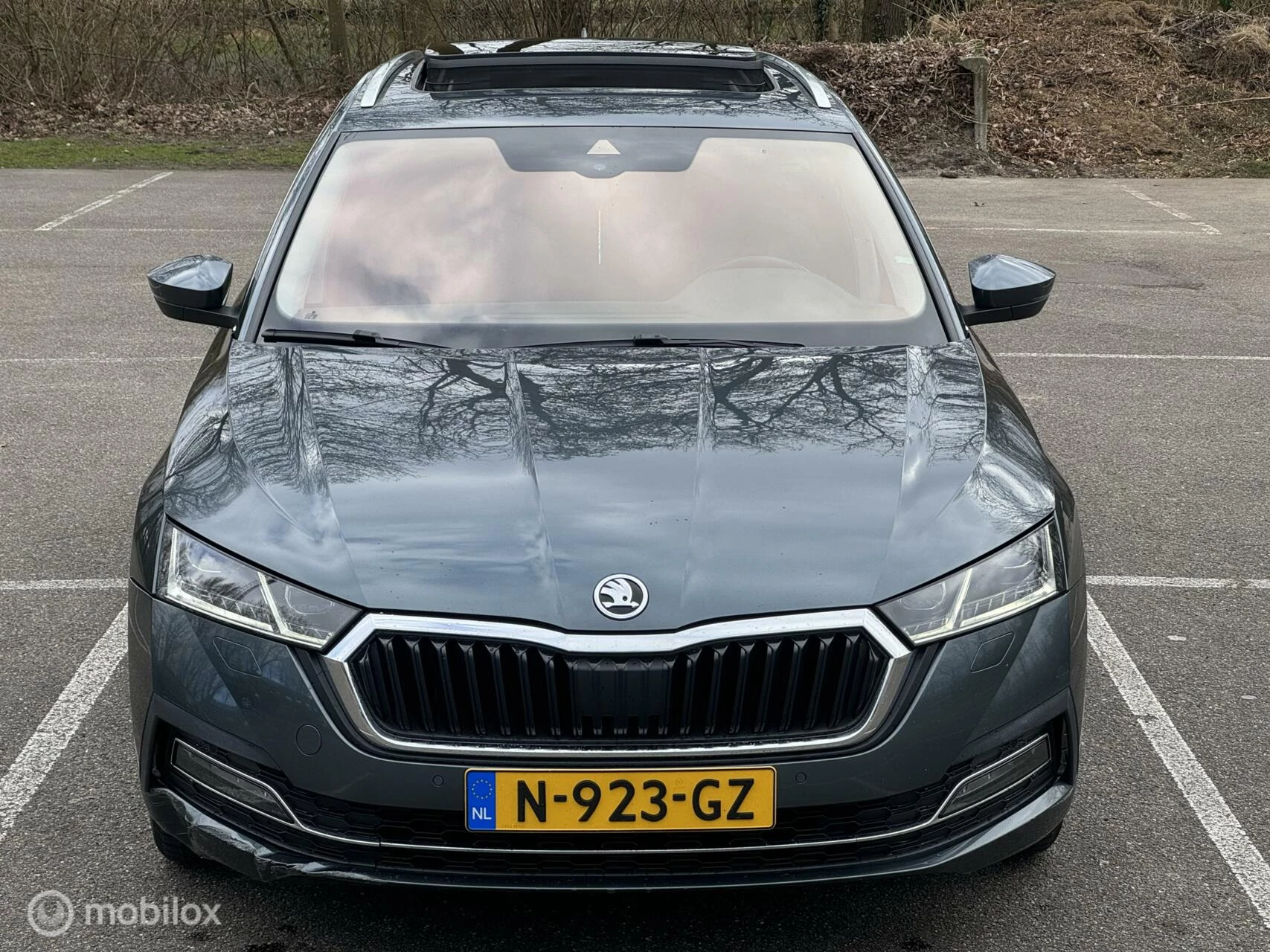 Hoofdafbeelding Škoda Octavia