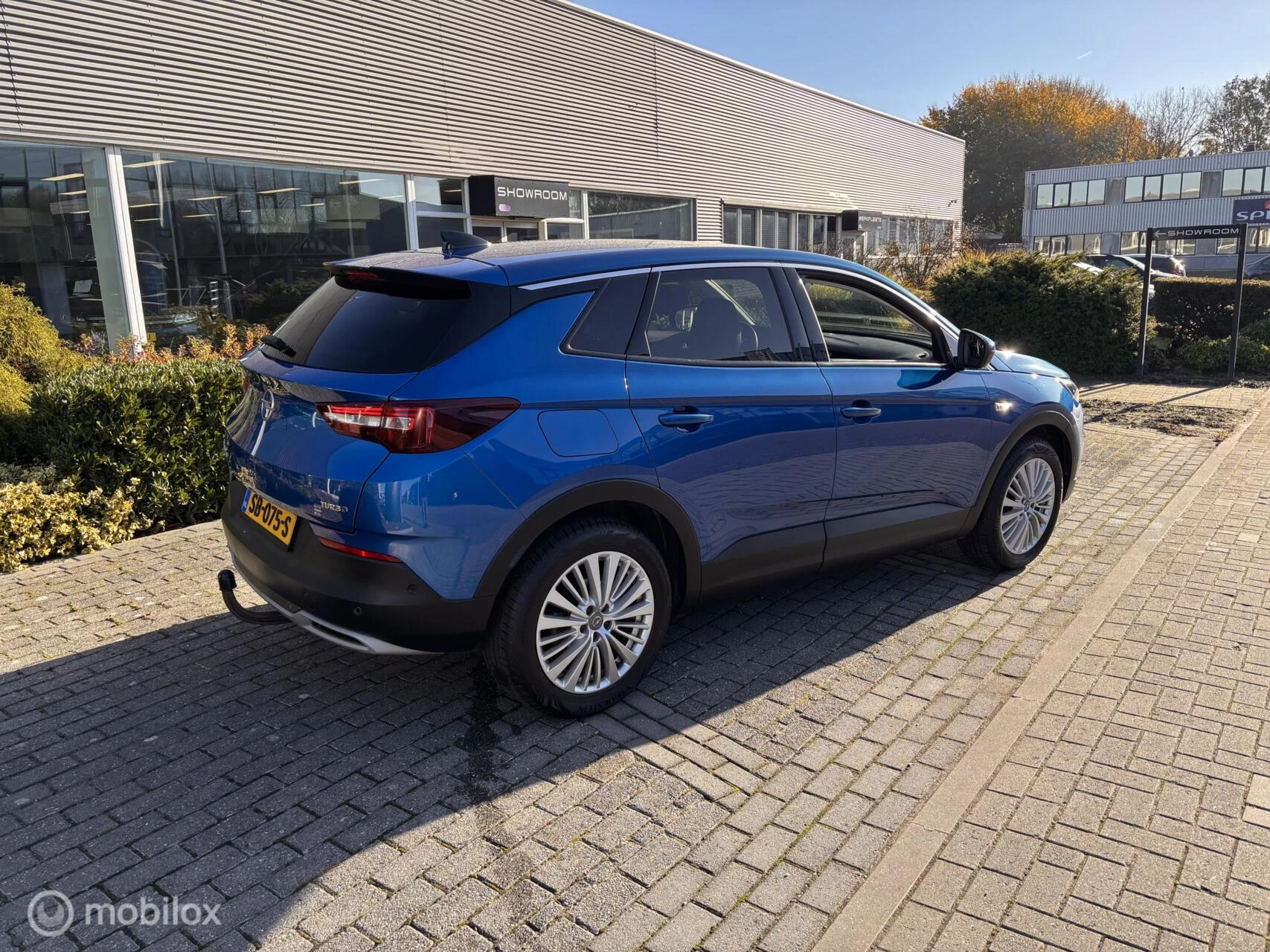 Hoofdafbeelding Opel Grandland X