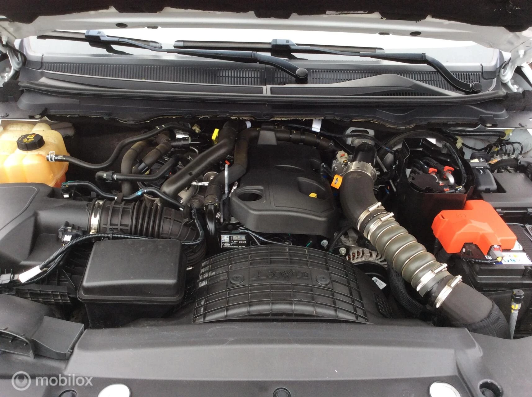 Hoofdafbeelding Ford Ranger