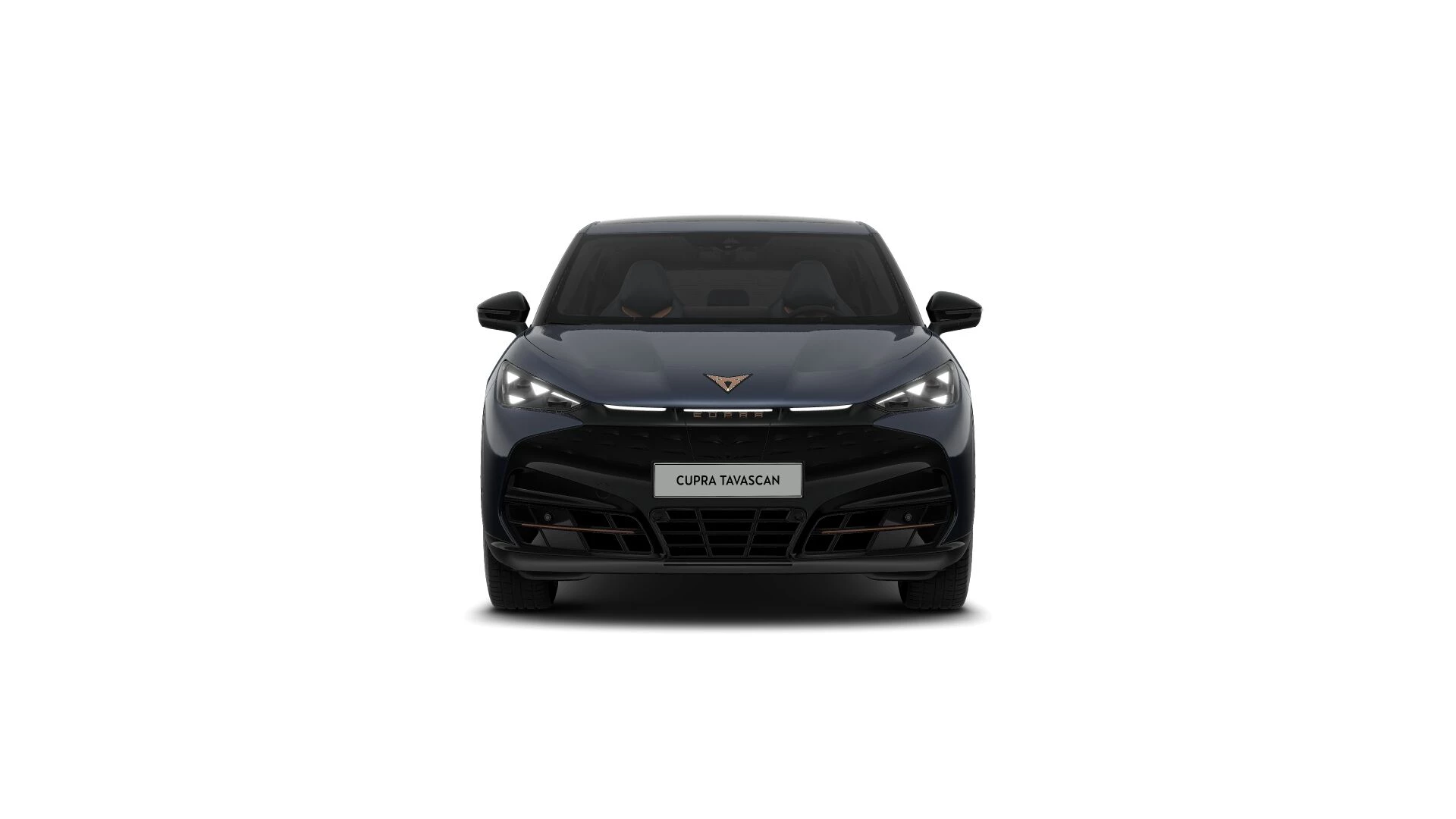 Hoofdafbeelding CUPRA Tavascan