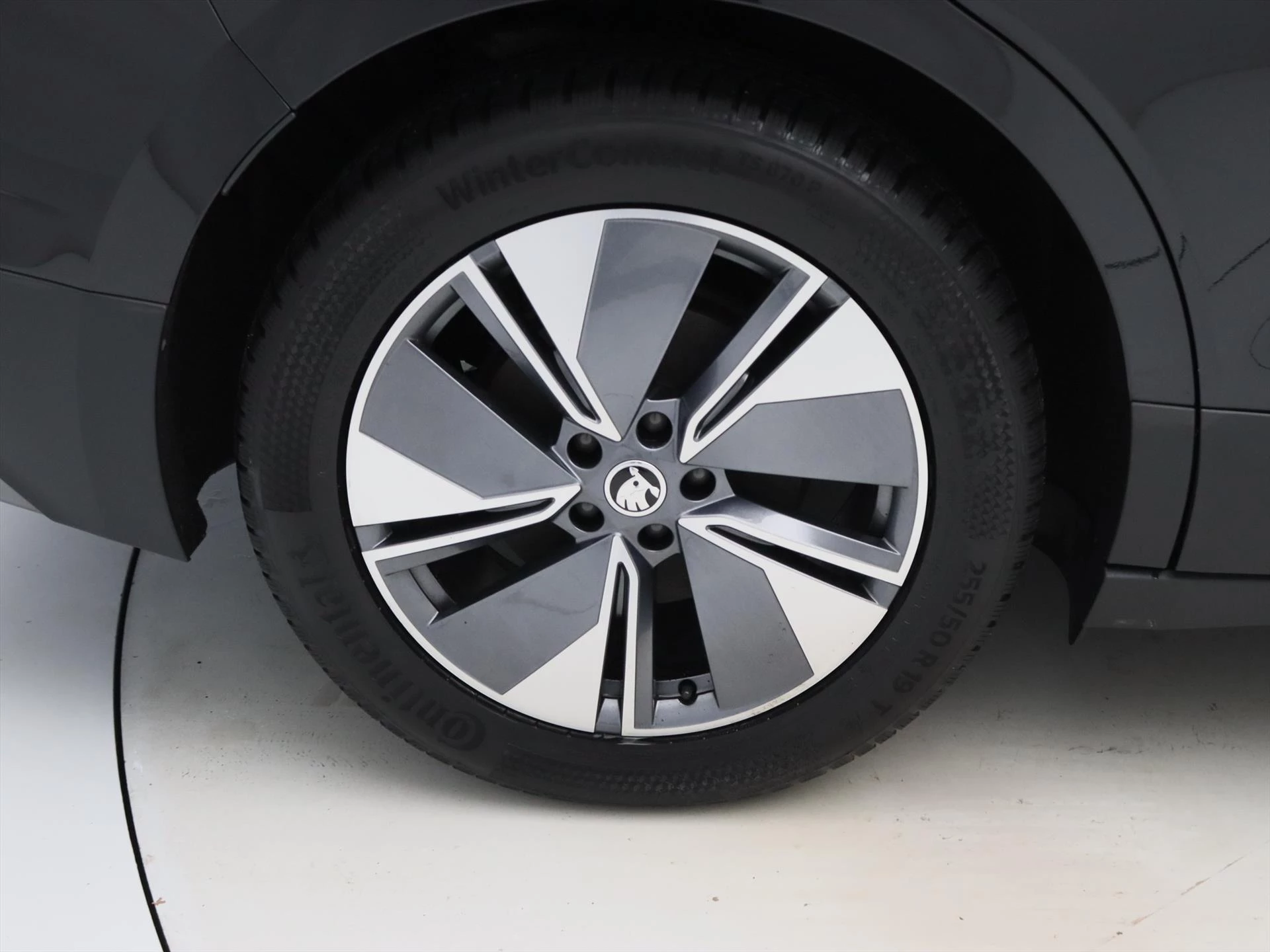 Hoofdafbeelding Škoda Enyaq iV