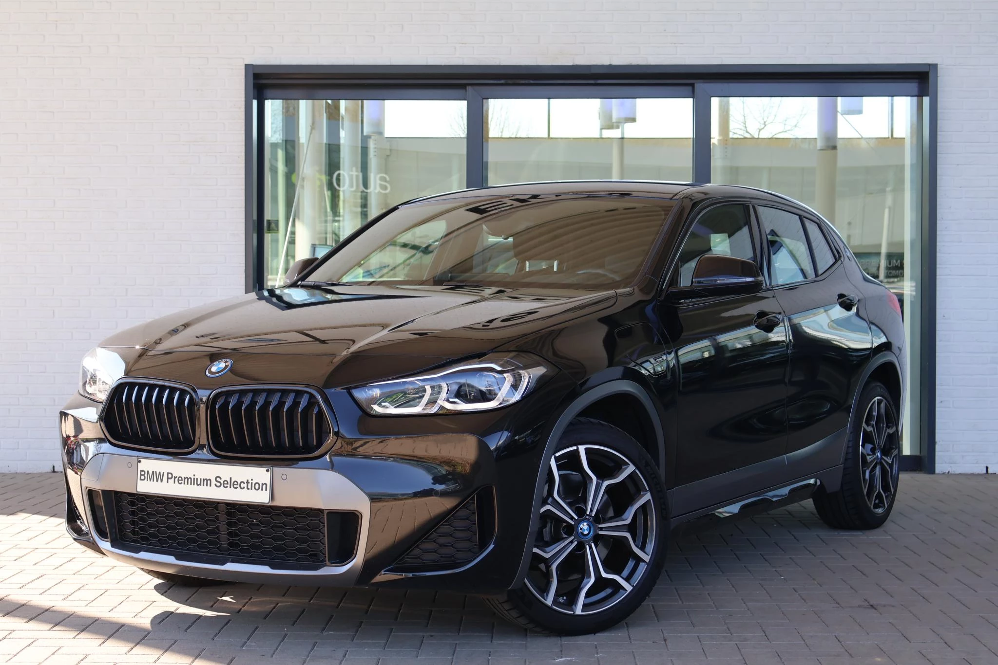 Hoofdafbeelding BMW X2