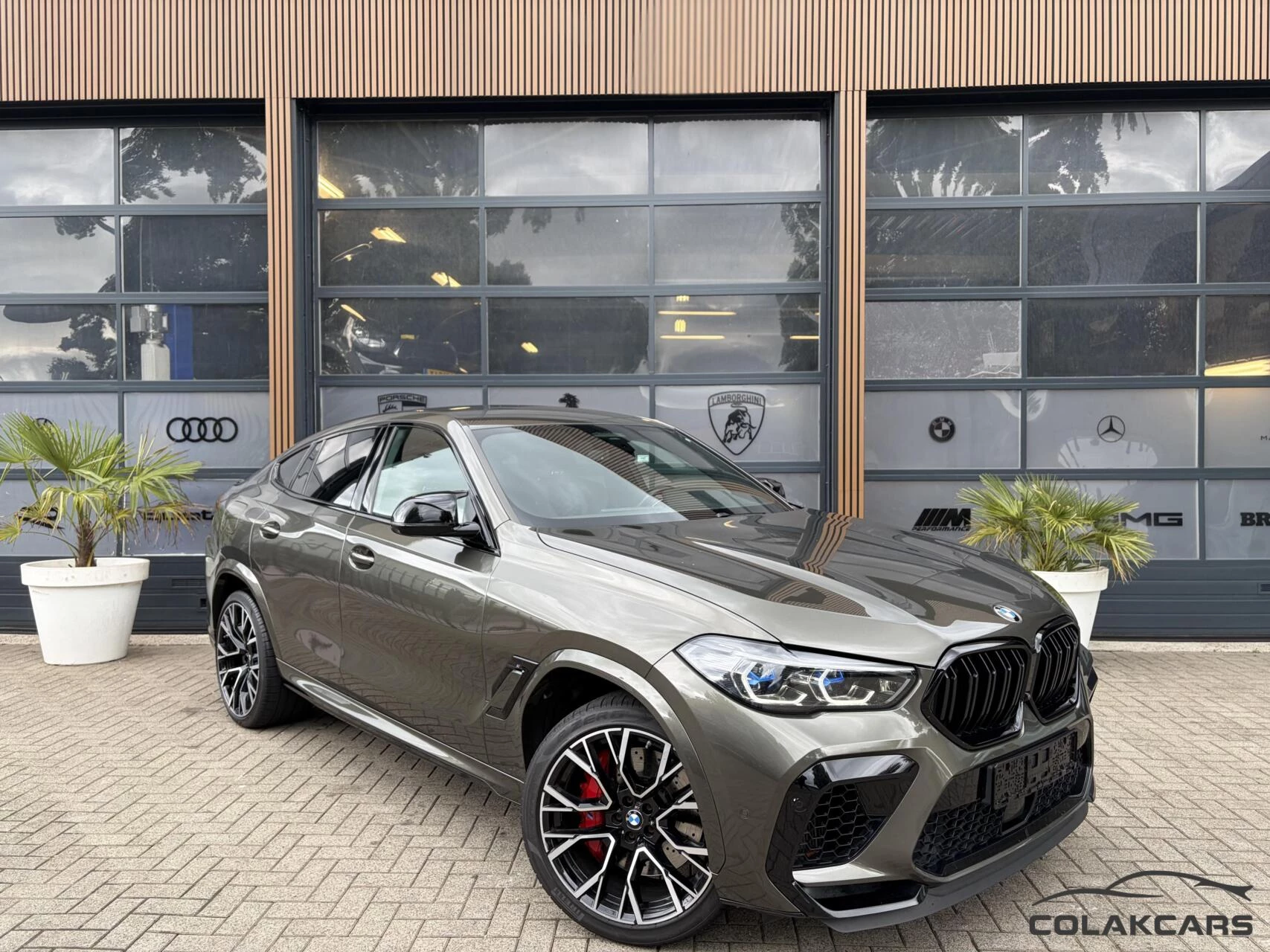 Hoofdafbeelding BMW X6