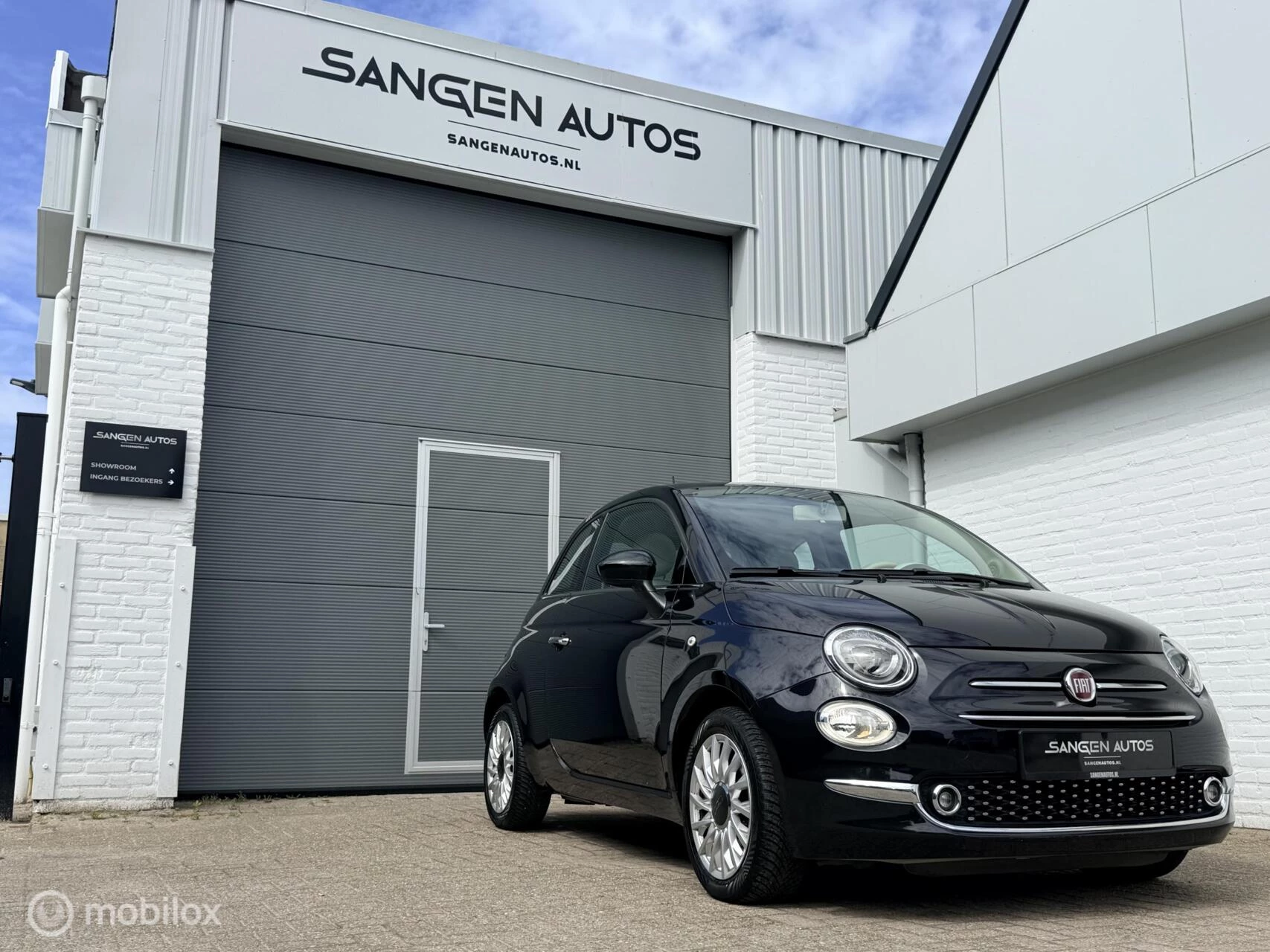 Hoofdafbeelding Fiat 500
