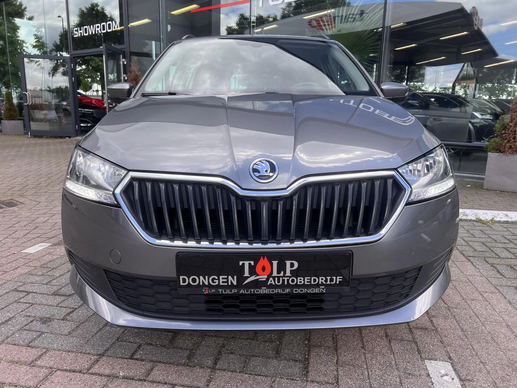 Hoofdafbeelding Škoda Fabia