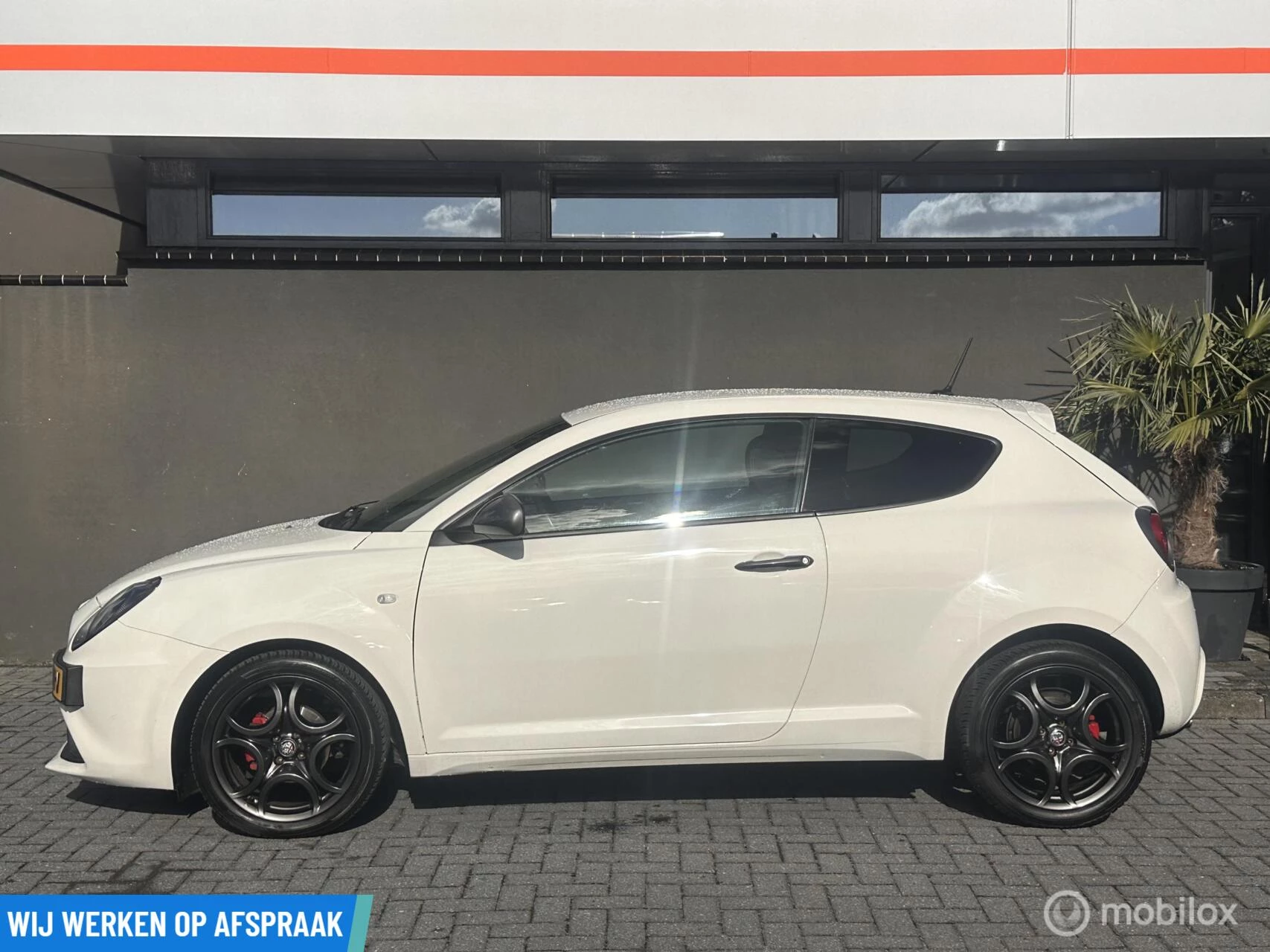 Hoofdafbeelding Alfa Romeo MiTo