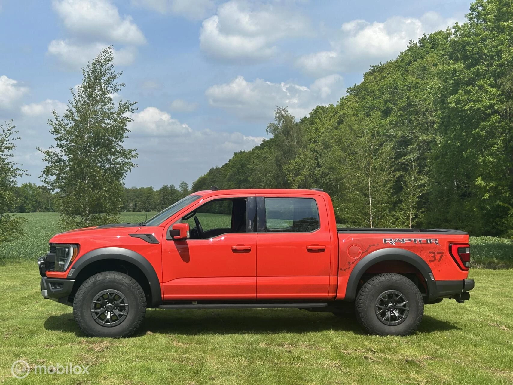 Hoofdafbeelding Ford F-150