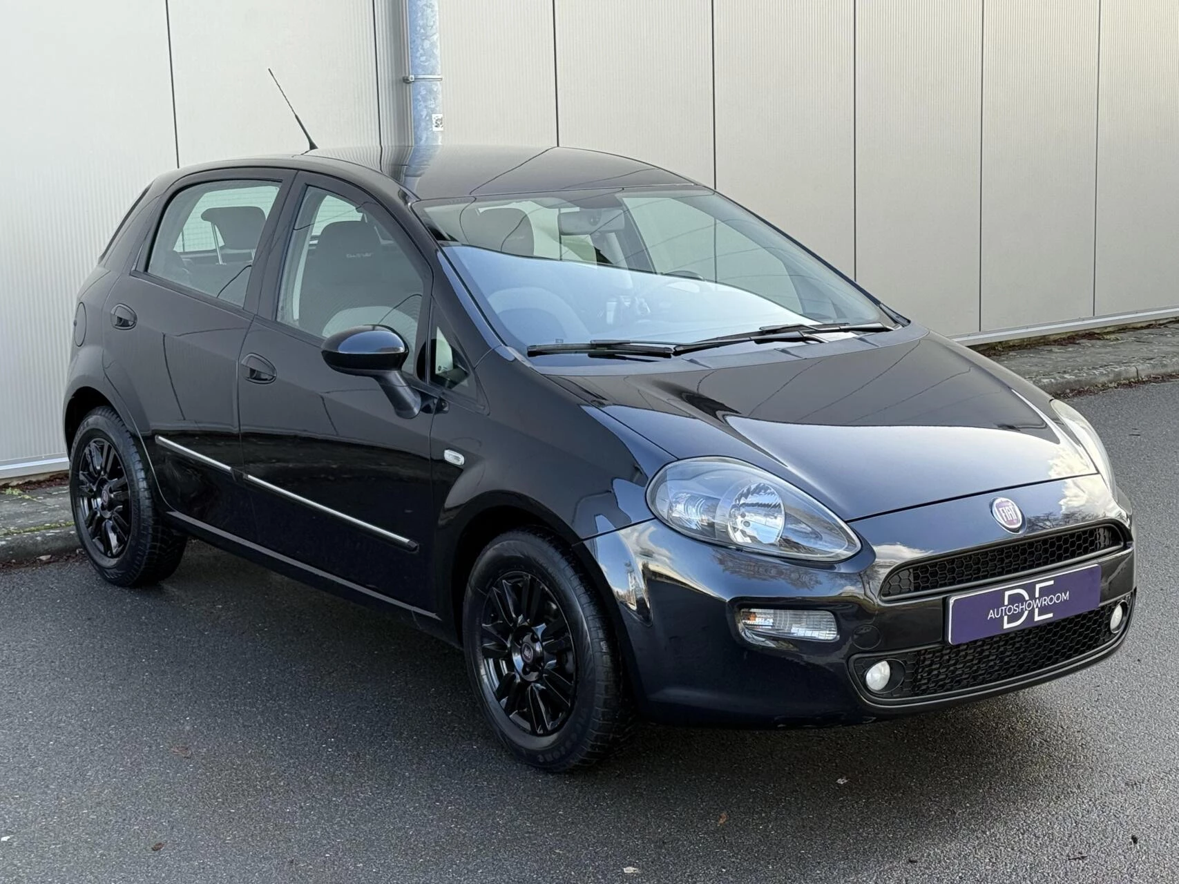 Hoofdafbeelding Fiat Punto