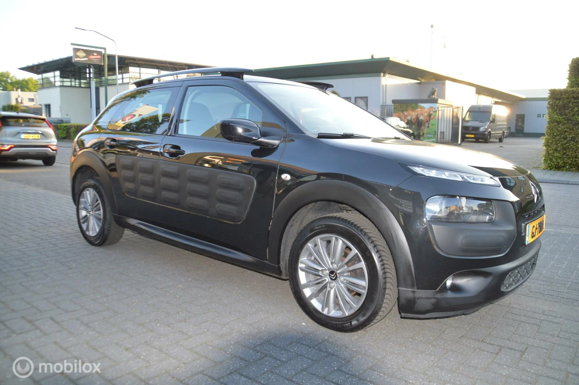 Hoofdafbeelding Citroën C4 Cactus