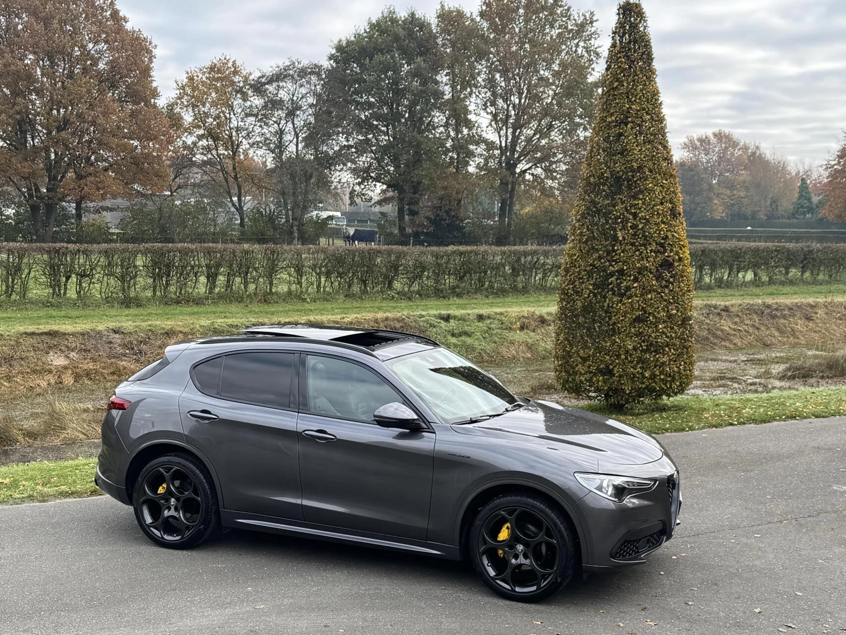 Hoofdafbeelding Alfa Romeo Stelvio