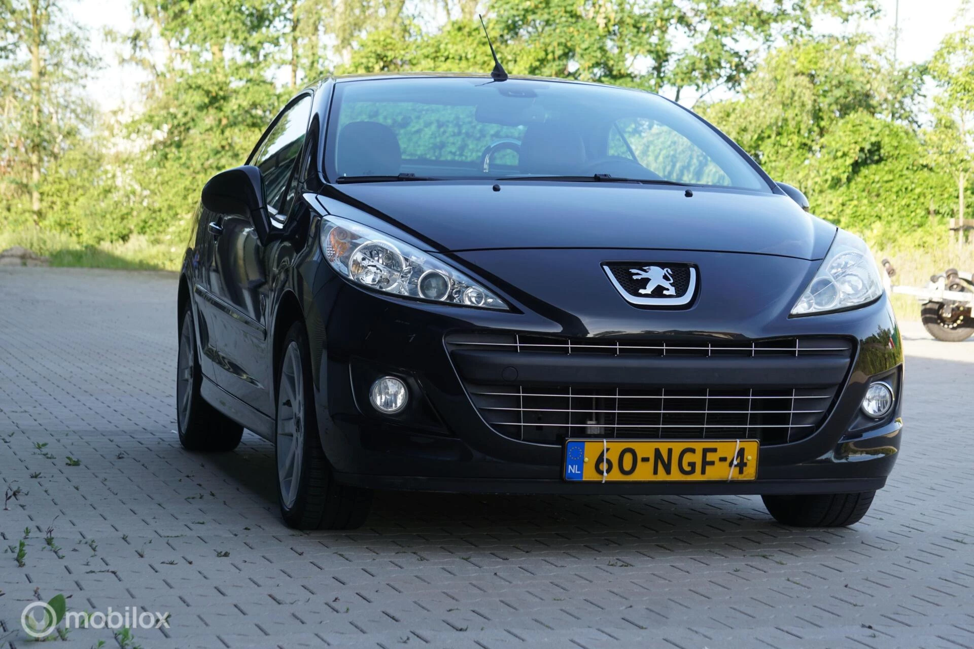 Hoofdafbeelding Peugeot 207