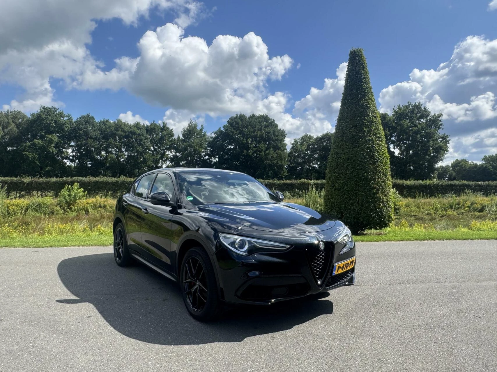 Hoofdafbeelding Alfa Romeo Stelvio