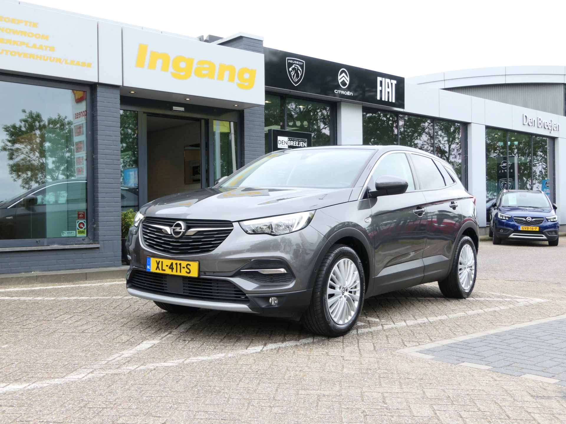 Hoofdafbeelding Opel Grandland X