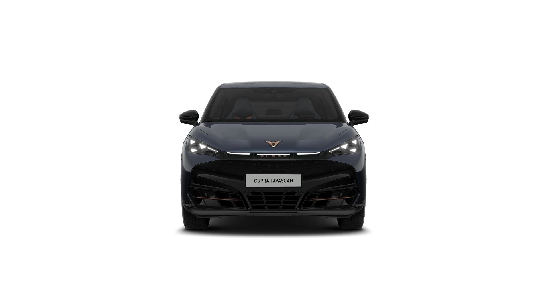 Hoofdafbeelding CUPRA Tavascan