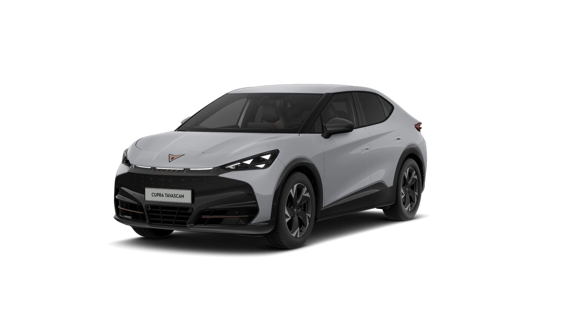 Hoofdafbeelding CUPRA Tavascan