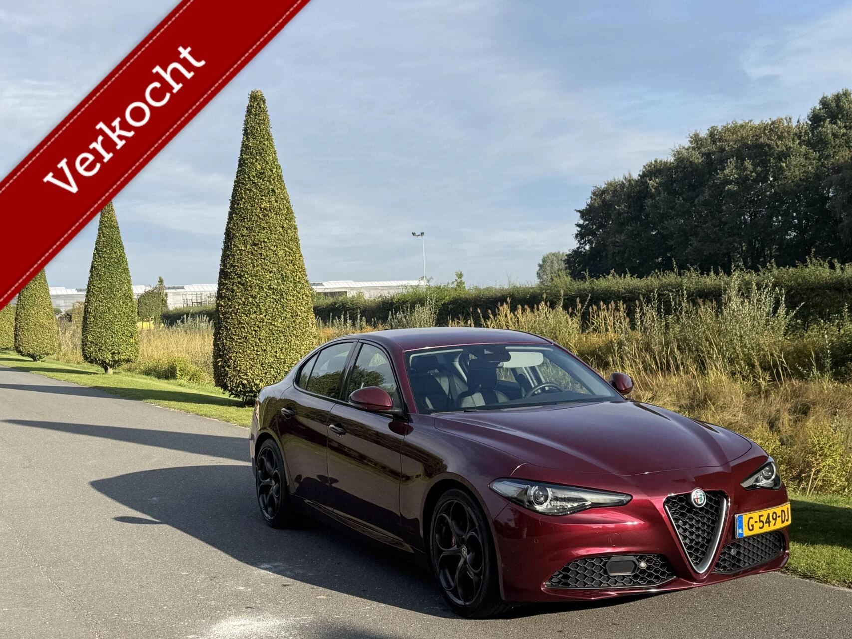 Hoofdafbeelding Alfa Romeo Giulia