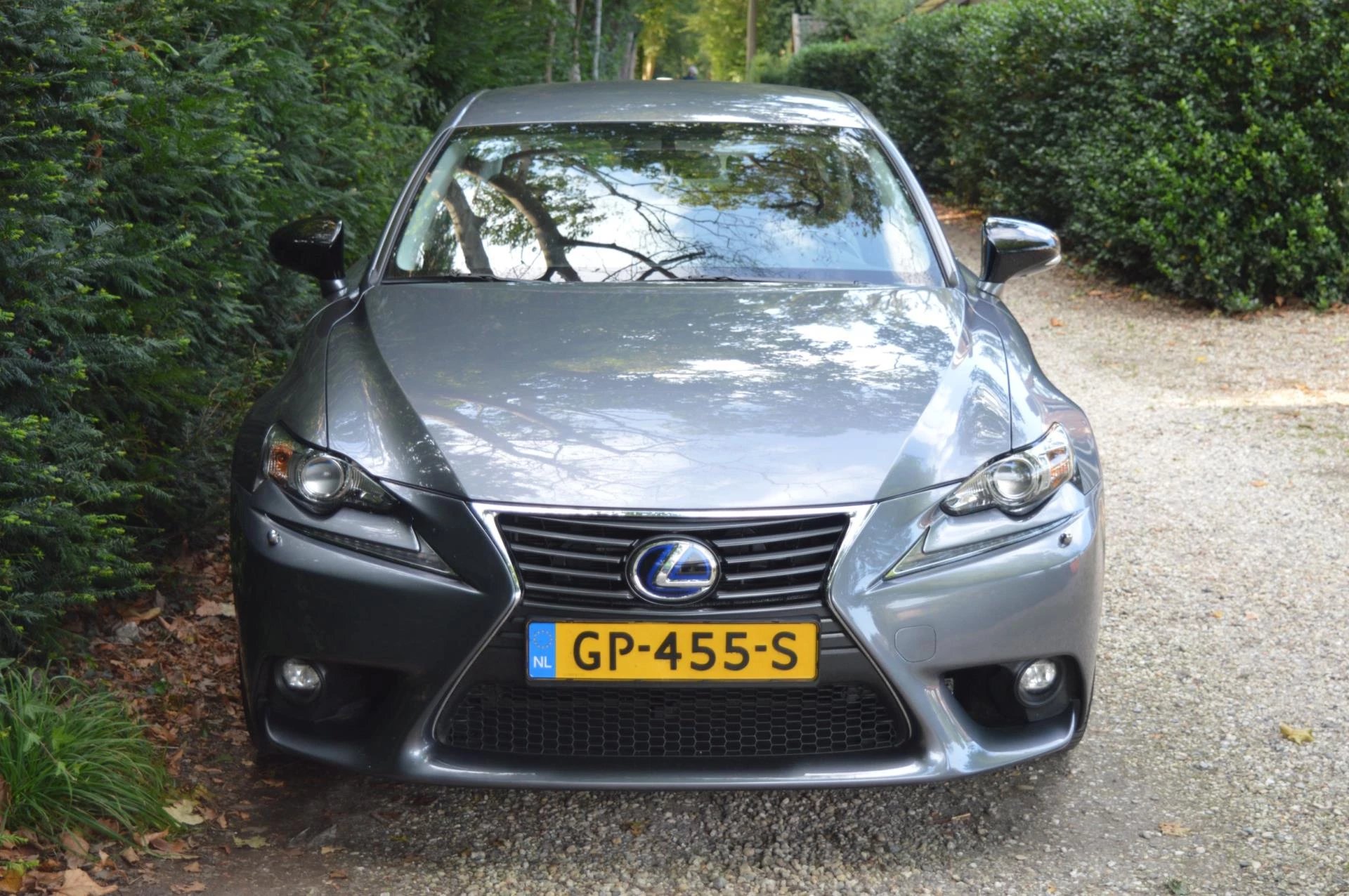 Hoofdafbeelding Lexus IS