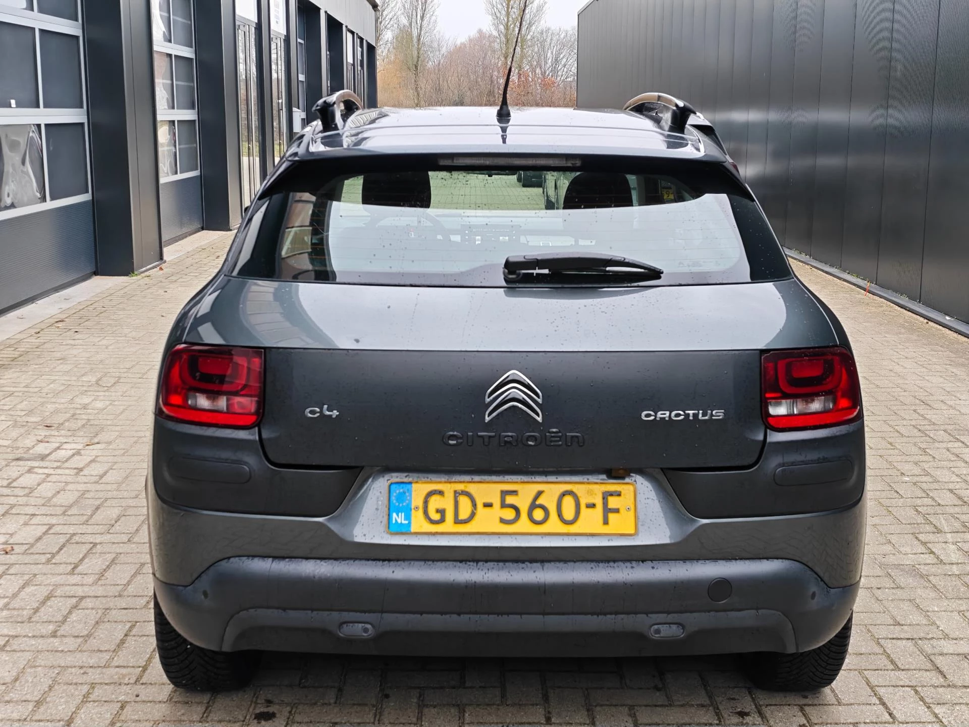 Hoofdafbeelding Citroën C4 Cactus