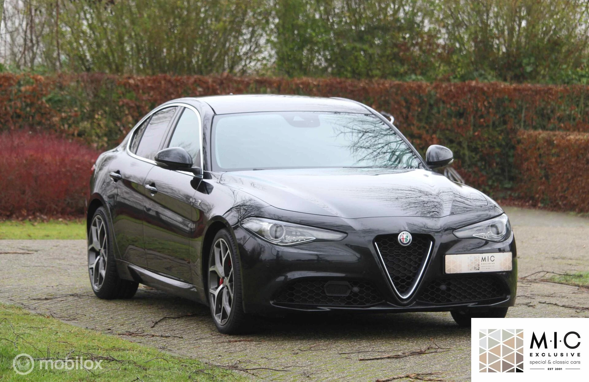Hoofdafbeelding Alfa Romeo Giulia