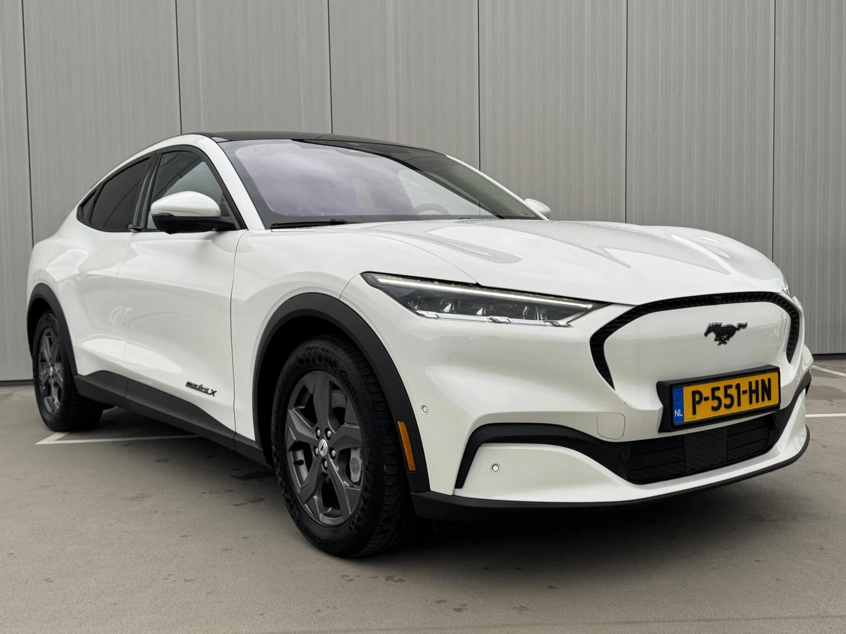 Hoofdafbeelding Ford Mustang Mach-E