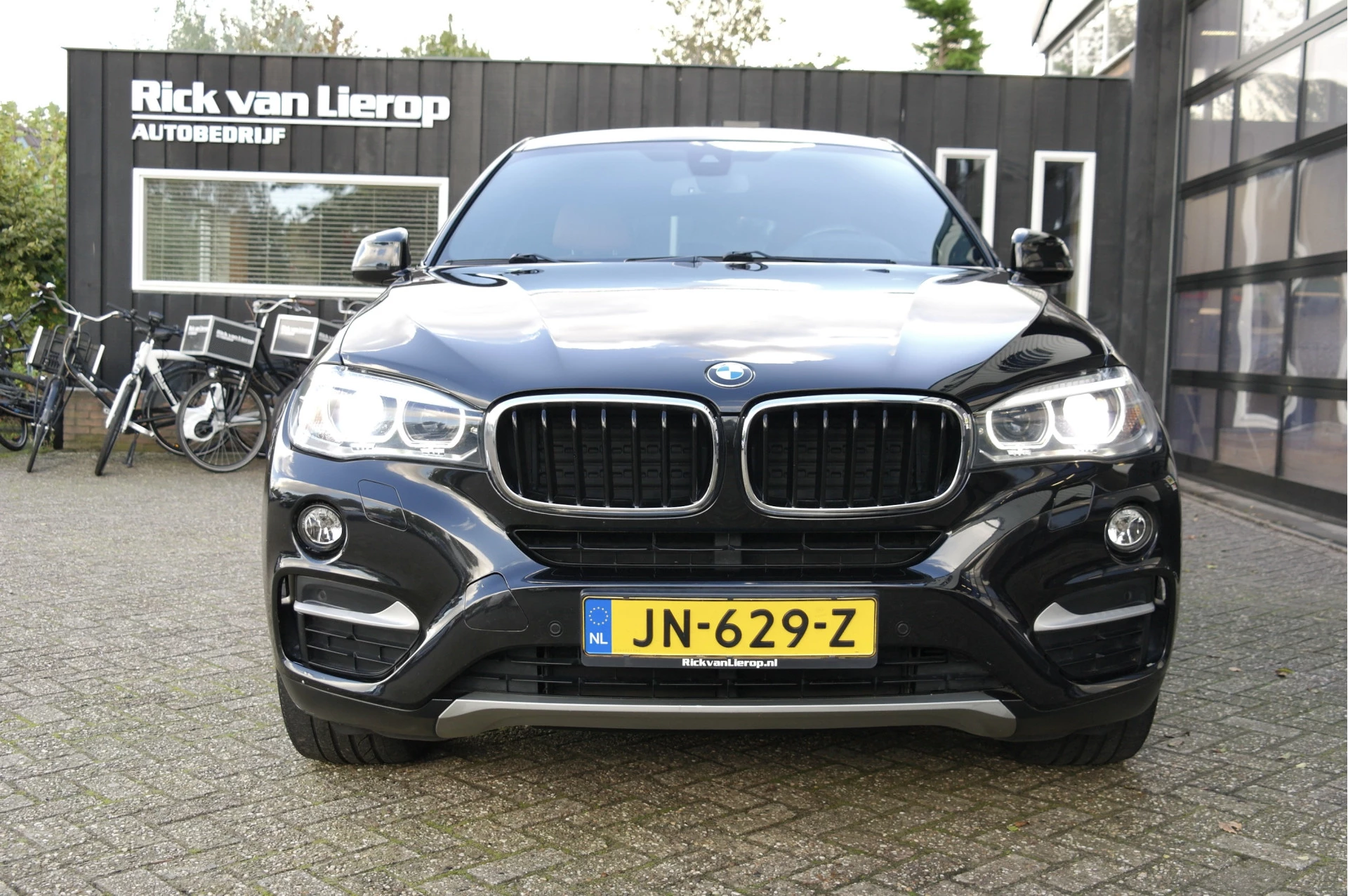 Hoofdafbeelding BMW X6