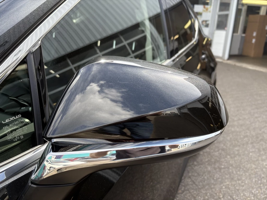 Hoofdafbeelding Lexus NX