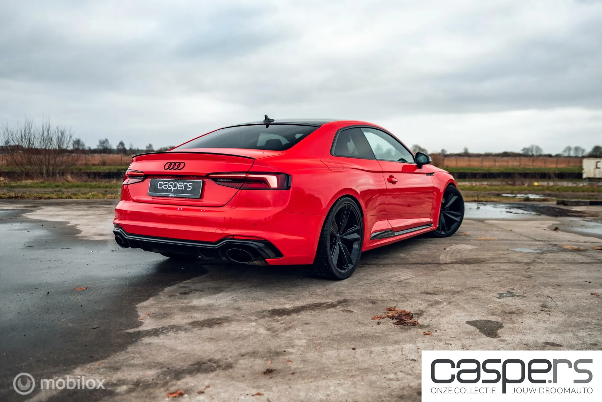 Hoofdafbeelding Audi RS5