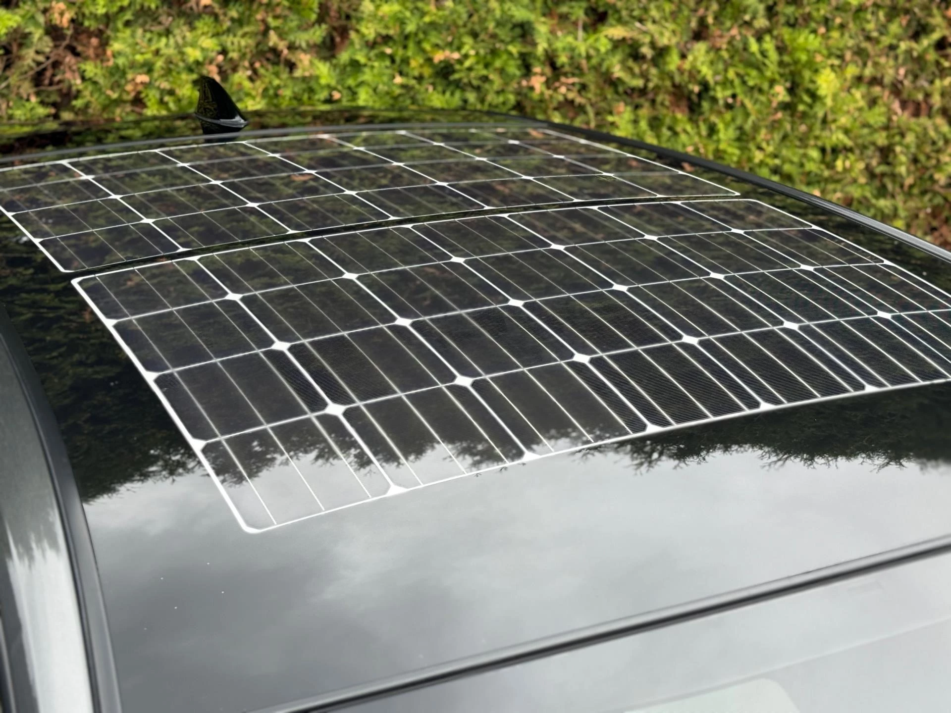 Hoofdafbeelding Toyota Prius