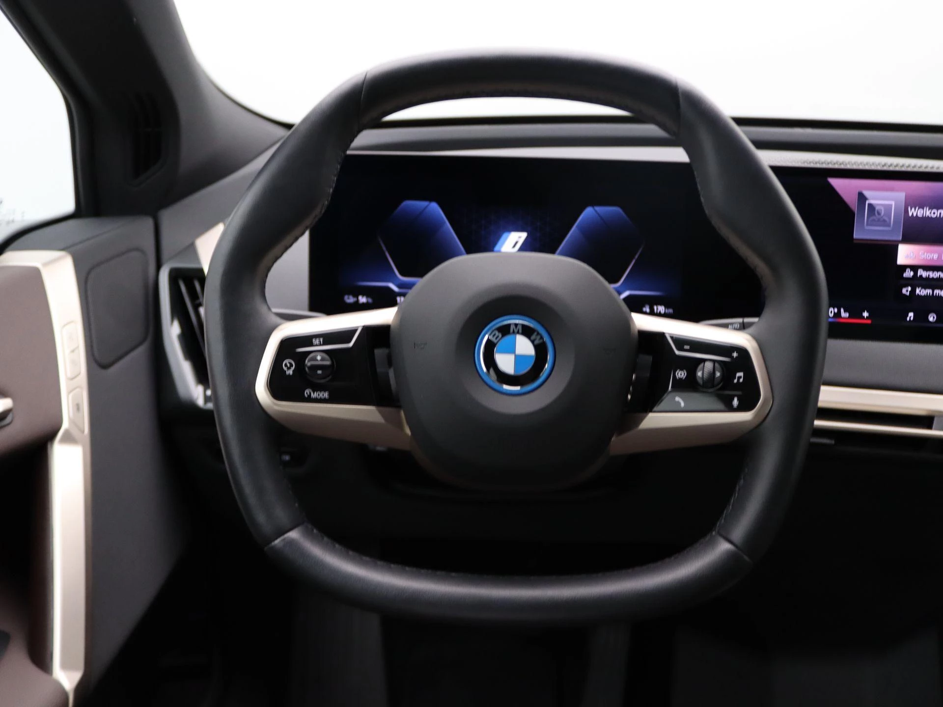 Hoofdafbeelding BMW iX