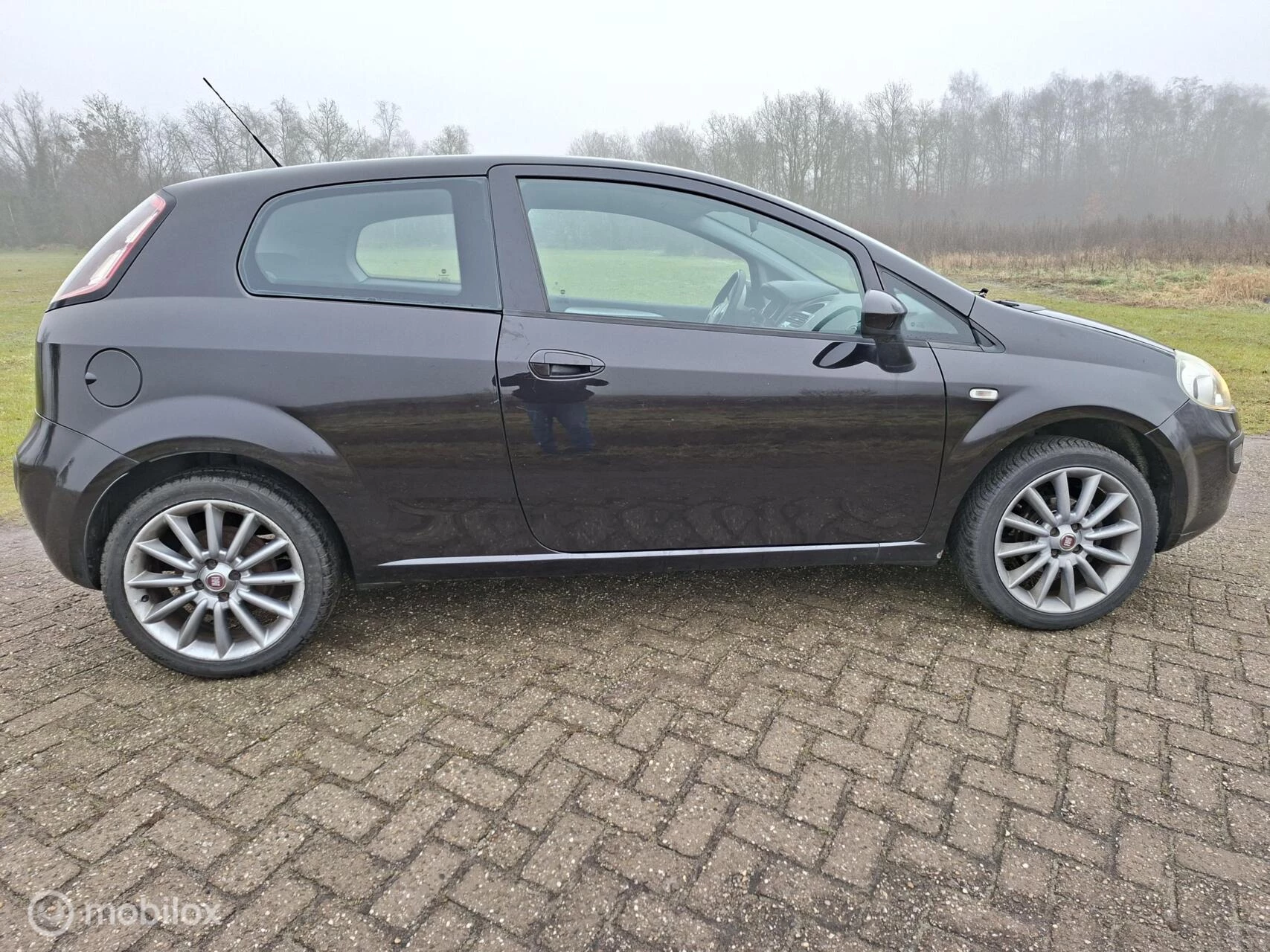 Hoofdafbeelding Fiat Punto