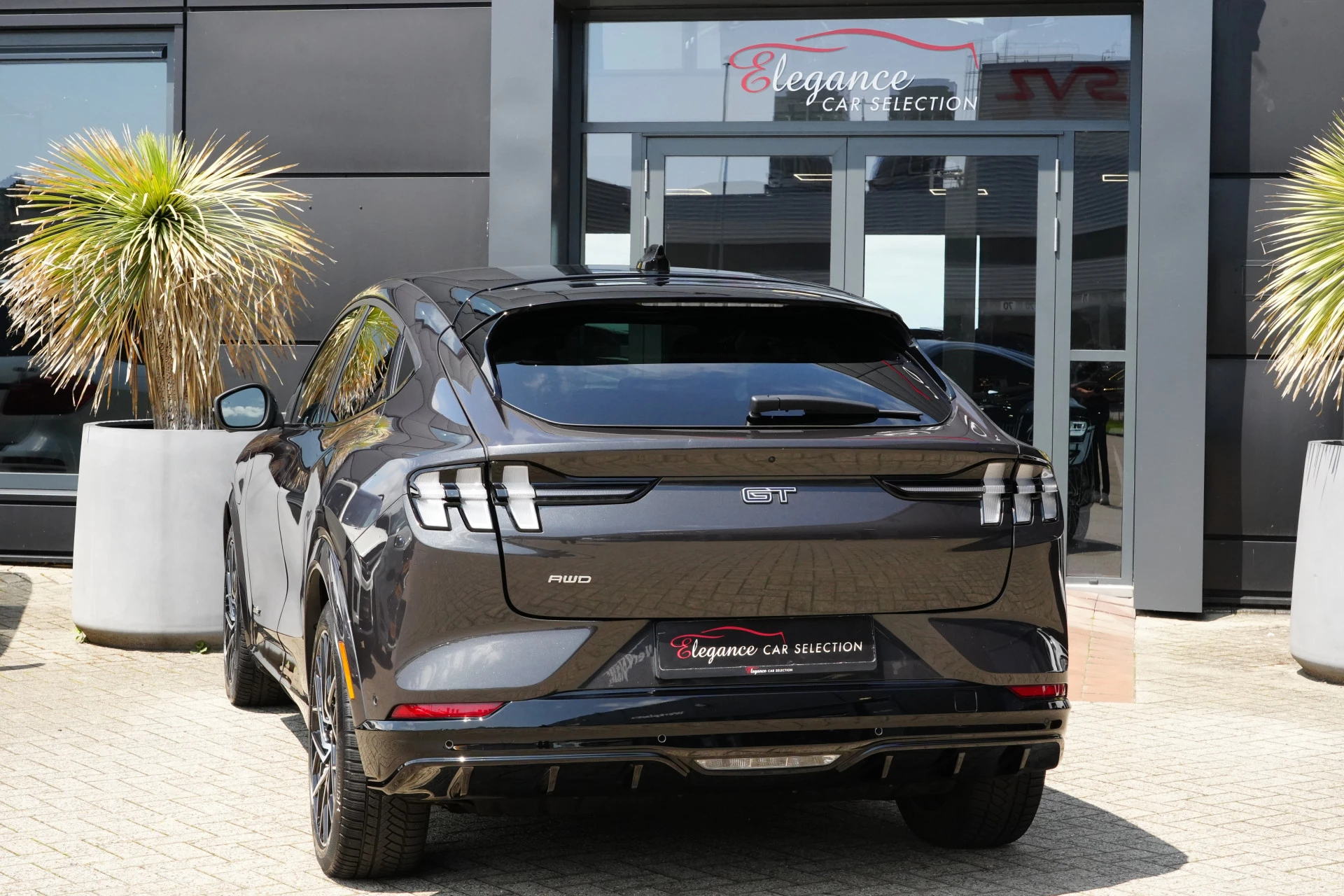 Hoofdafbeelding Ford Mustang Mach-E