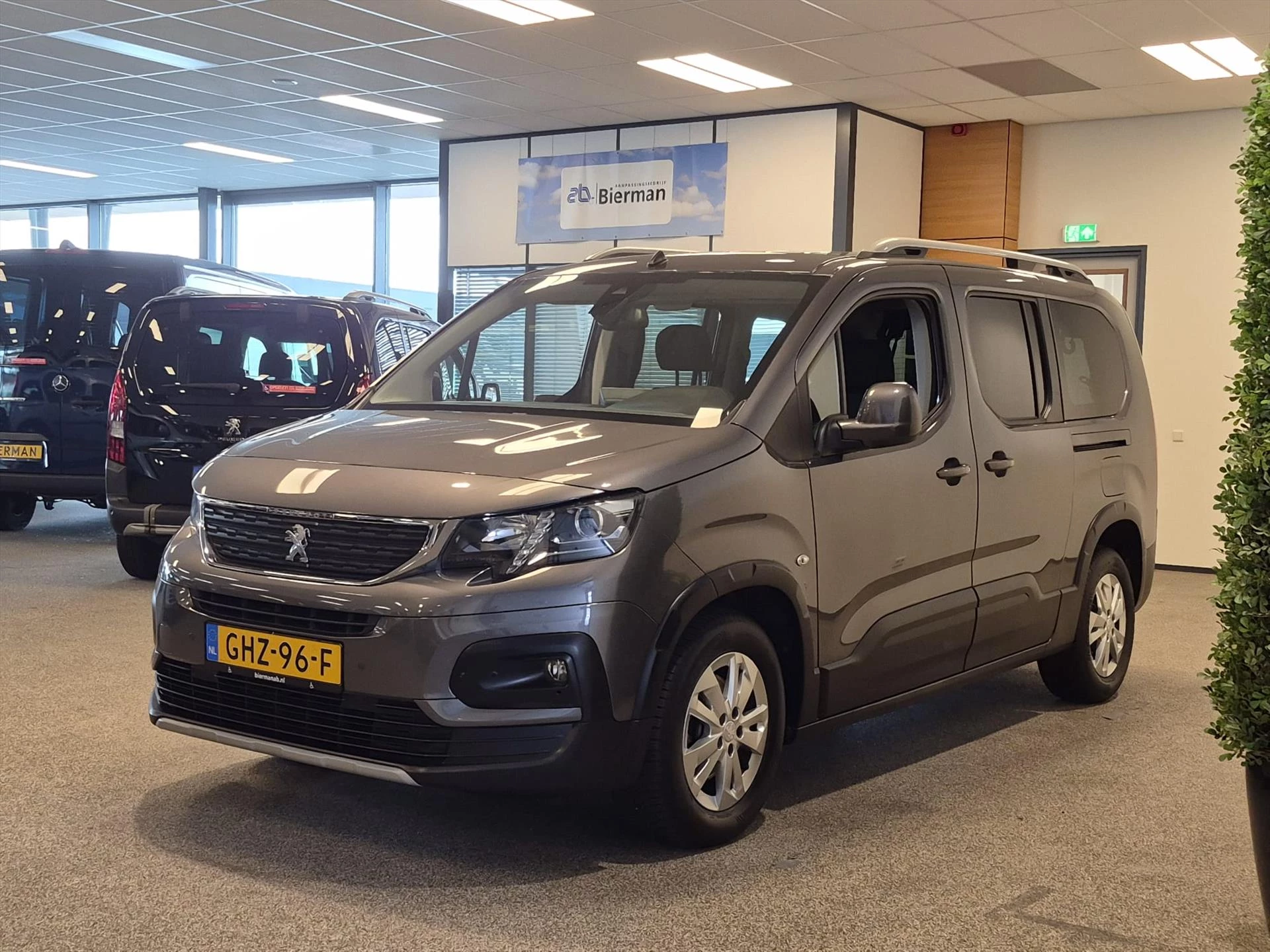 Hoofdafbeelding Peugeot Rifter