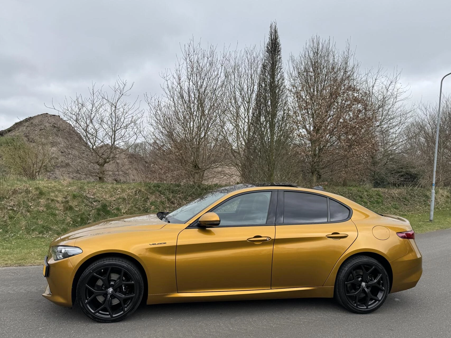 Hoofdafbeelding Alfa Romeo Giulia