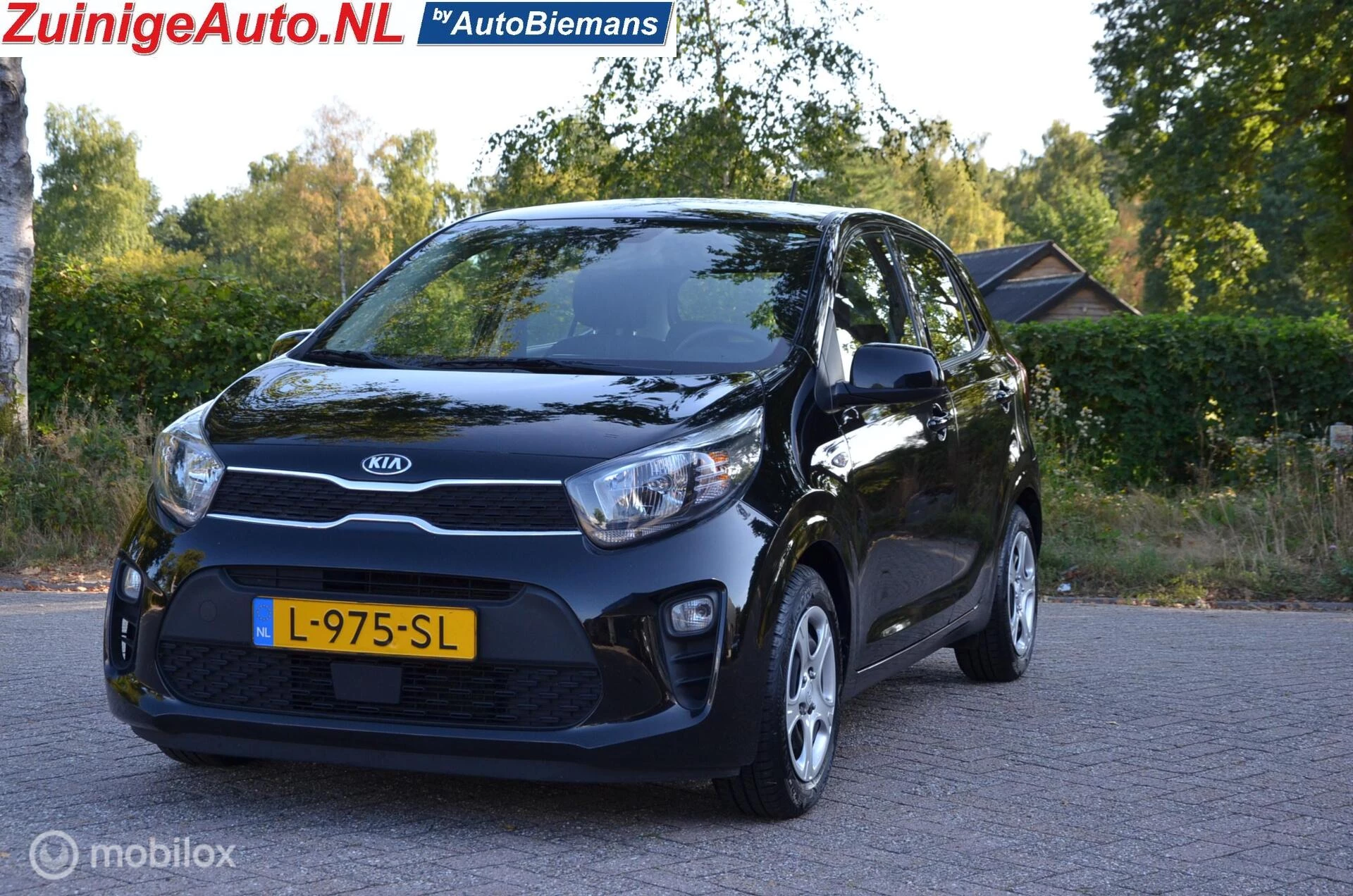 Hoofdafbeelding Kia Picanto