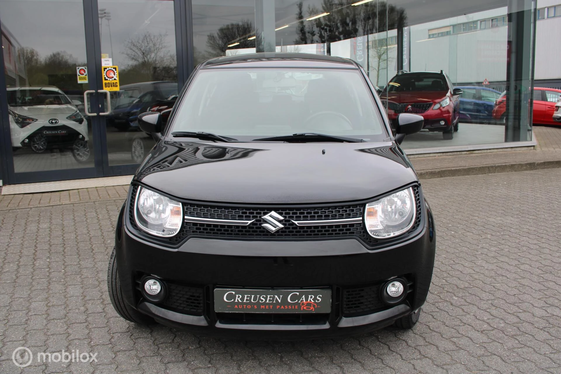 Hoofdafbeelding Suzuki Ignis