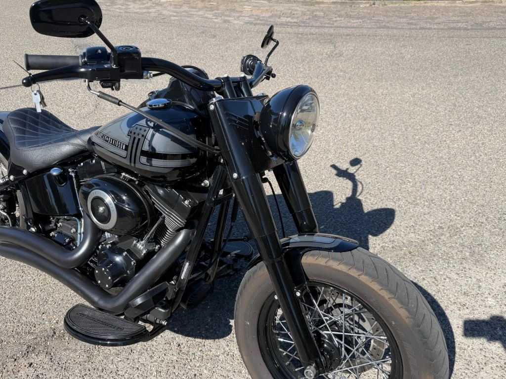 Hoofdafbeelding Harley-Davidson Softail
