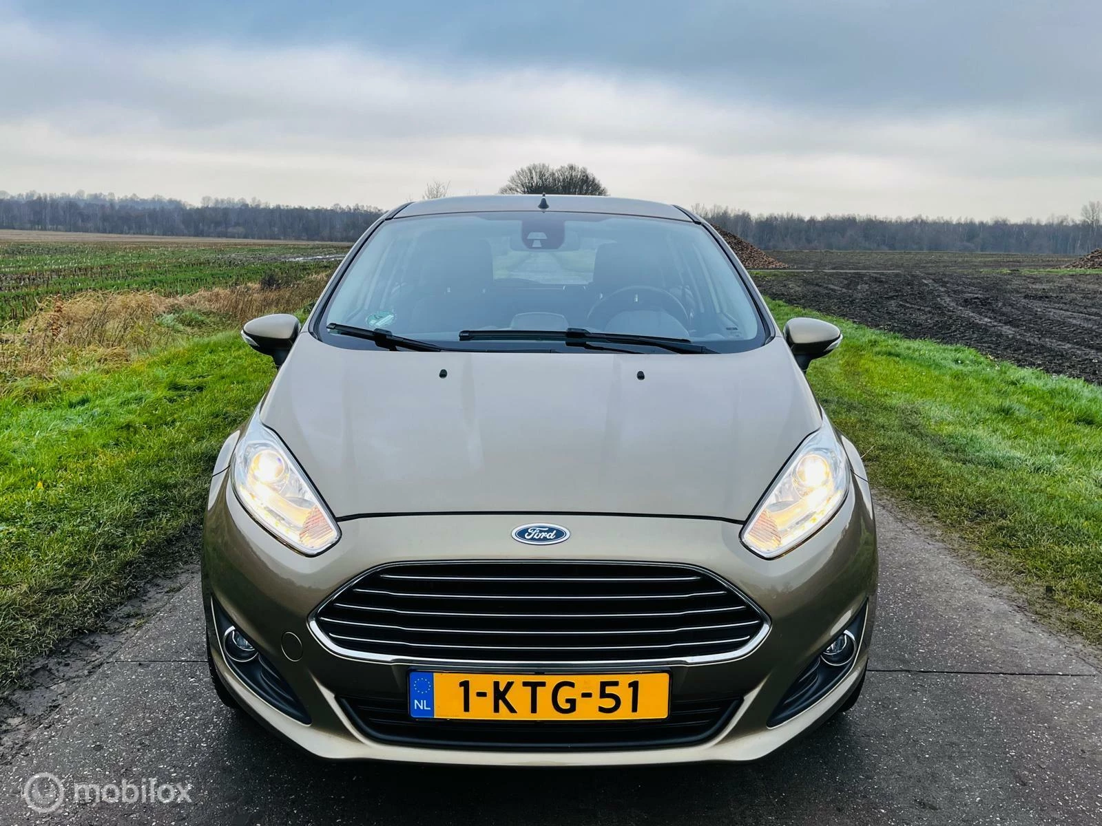 Hoofdafbeelding Ford Fiesta