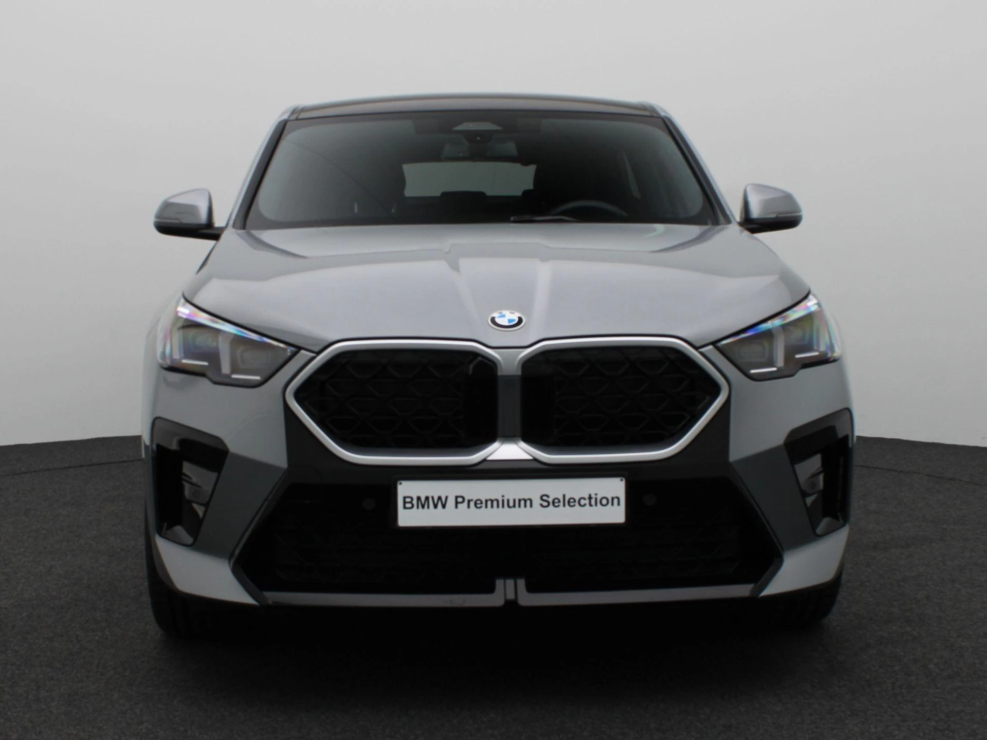 Hoofdafbeelding BMW X2