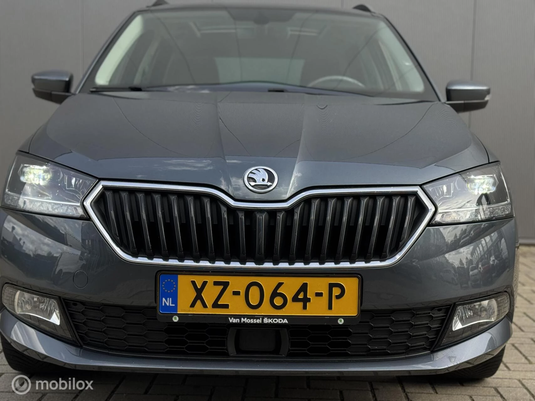 Hoofdafbeelding Škoda Fabia