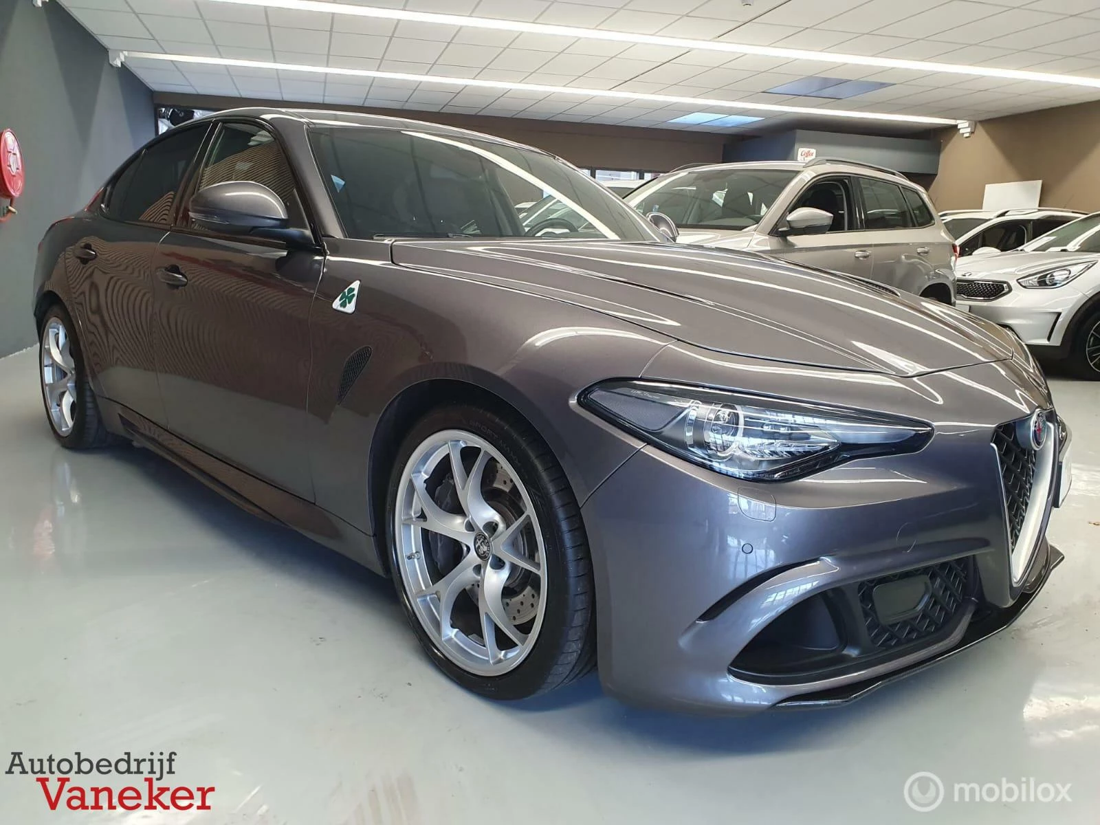 Hoofdafbeelding Alfa Romeo Giulia