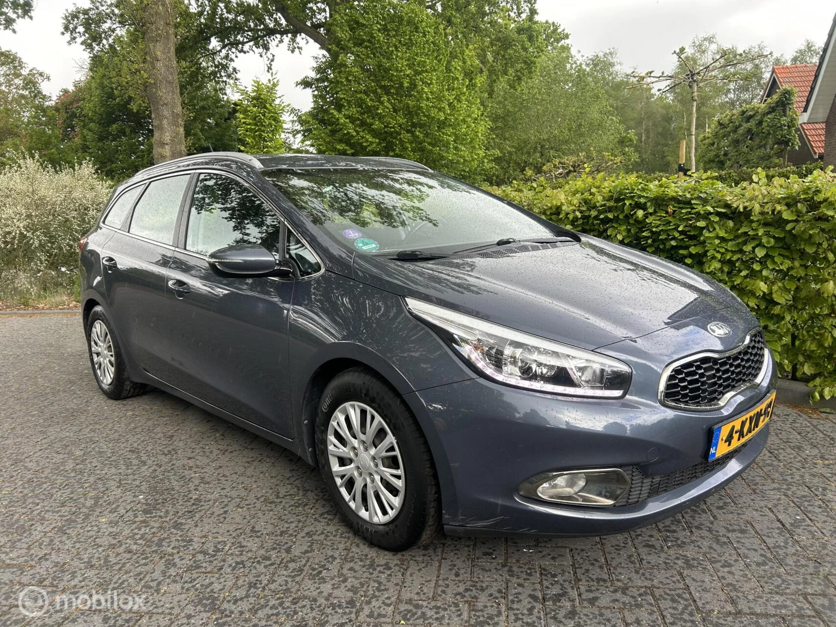 Hoofdafbeelding Kia cee'd